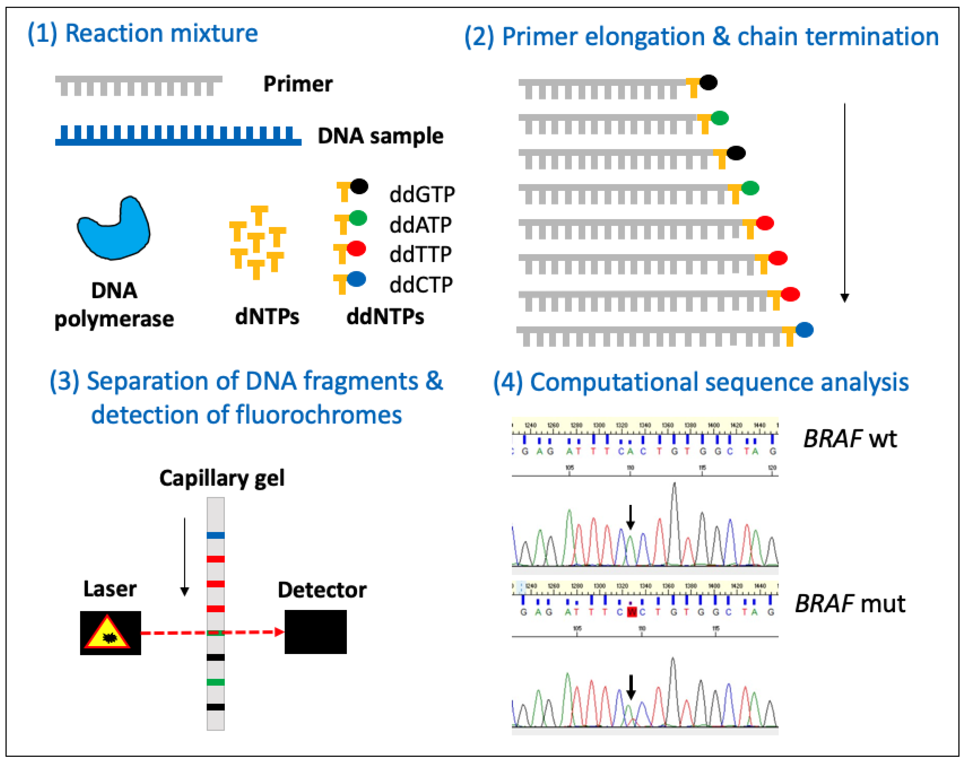 Animals 14 00769 g007
