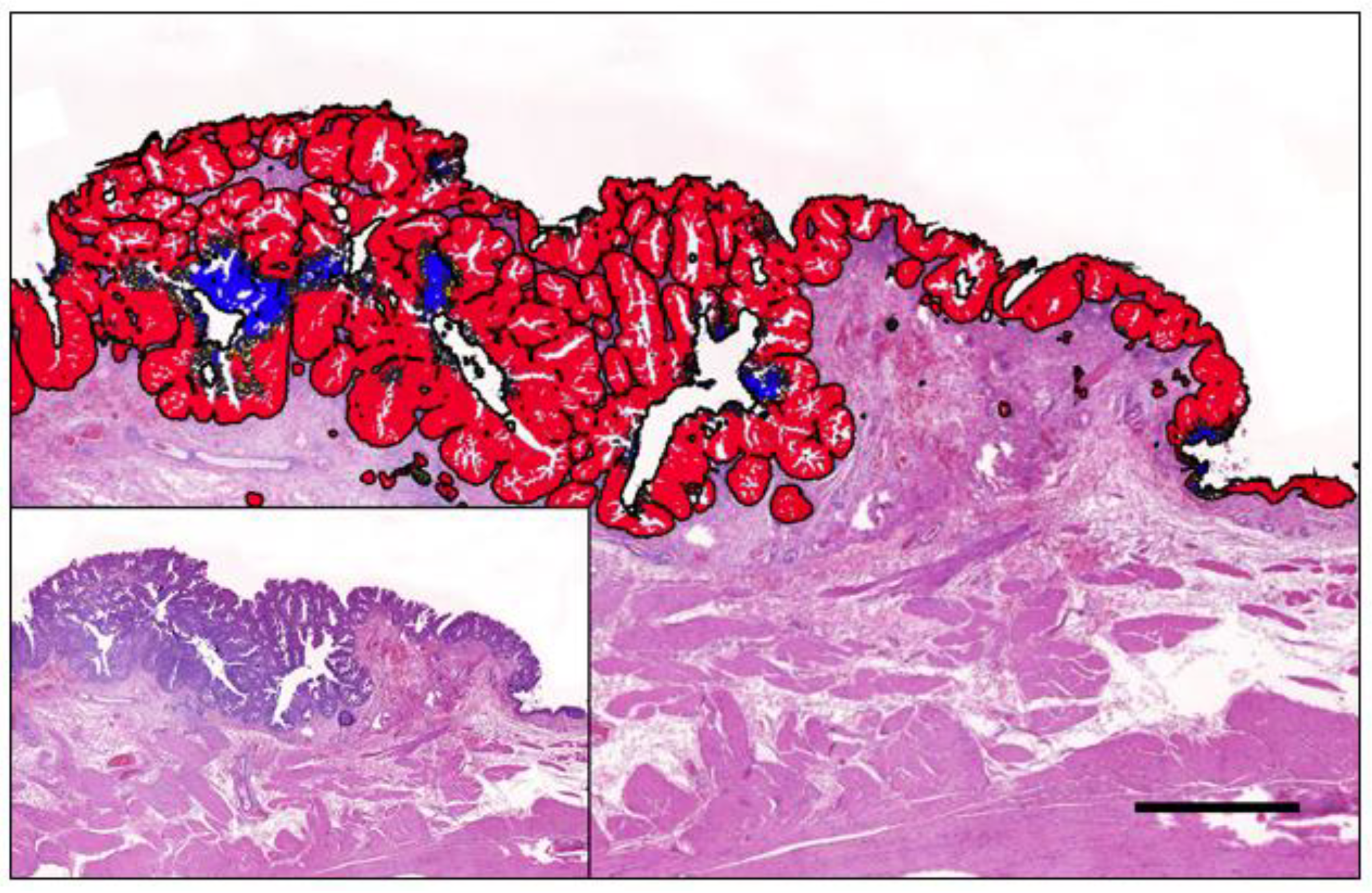 Animals 14 00769 g009