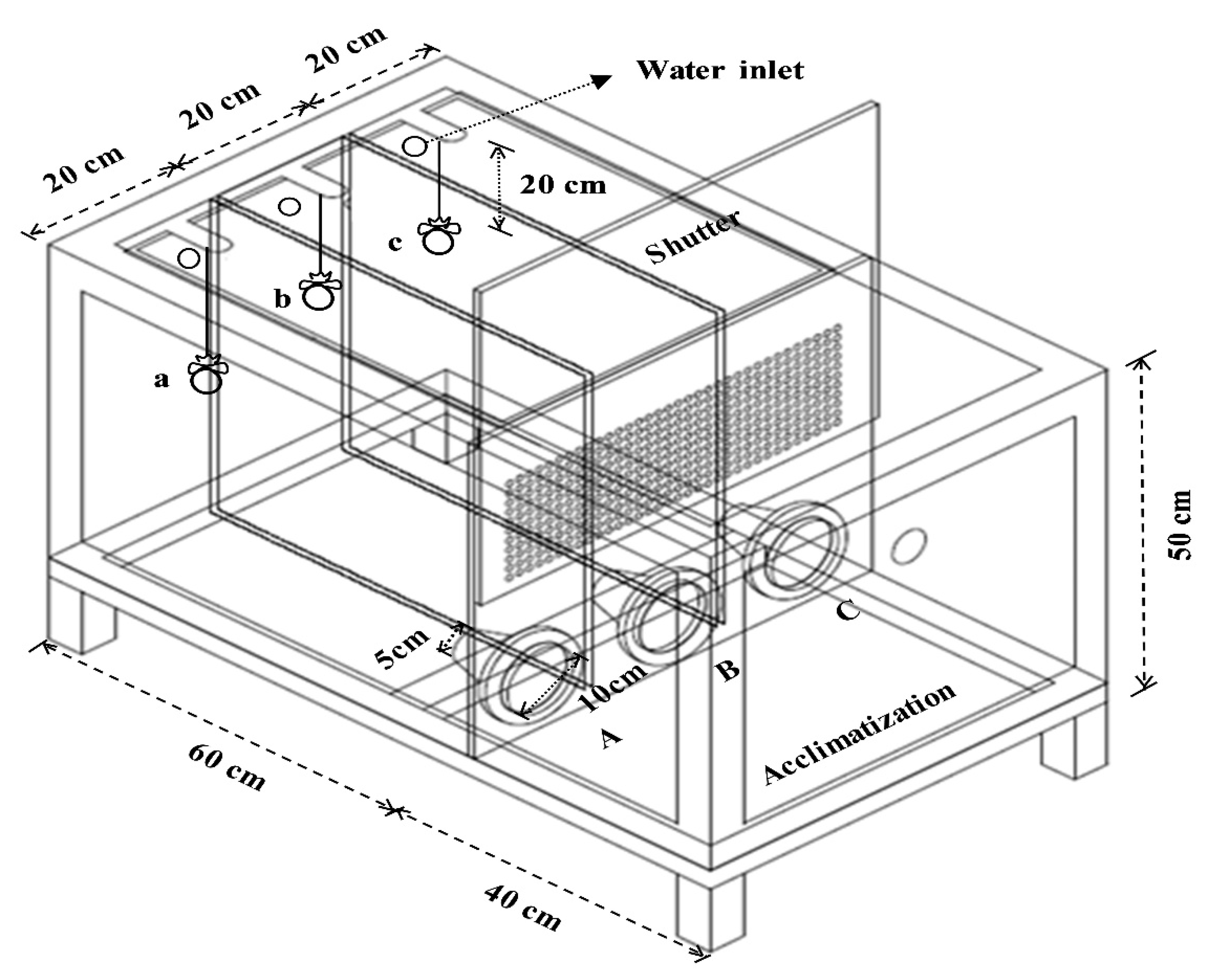 Animals 14 00771 g001