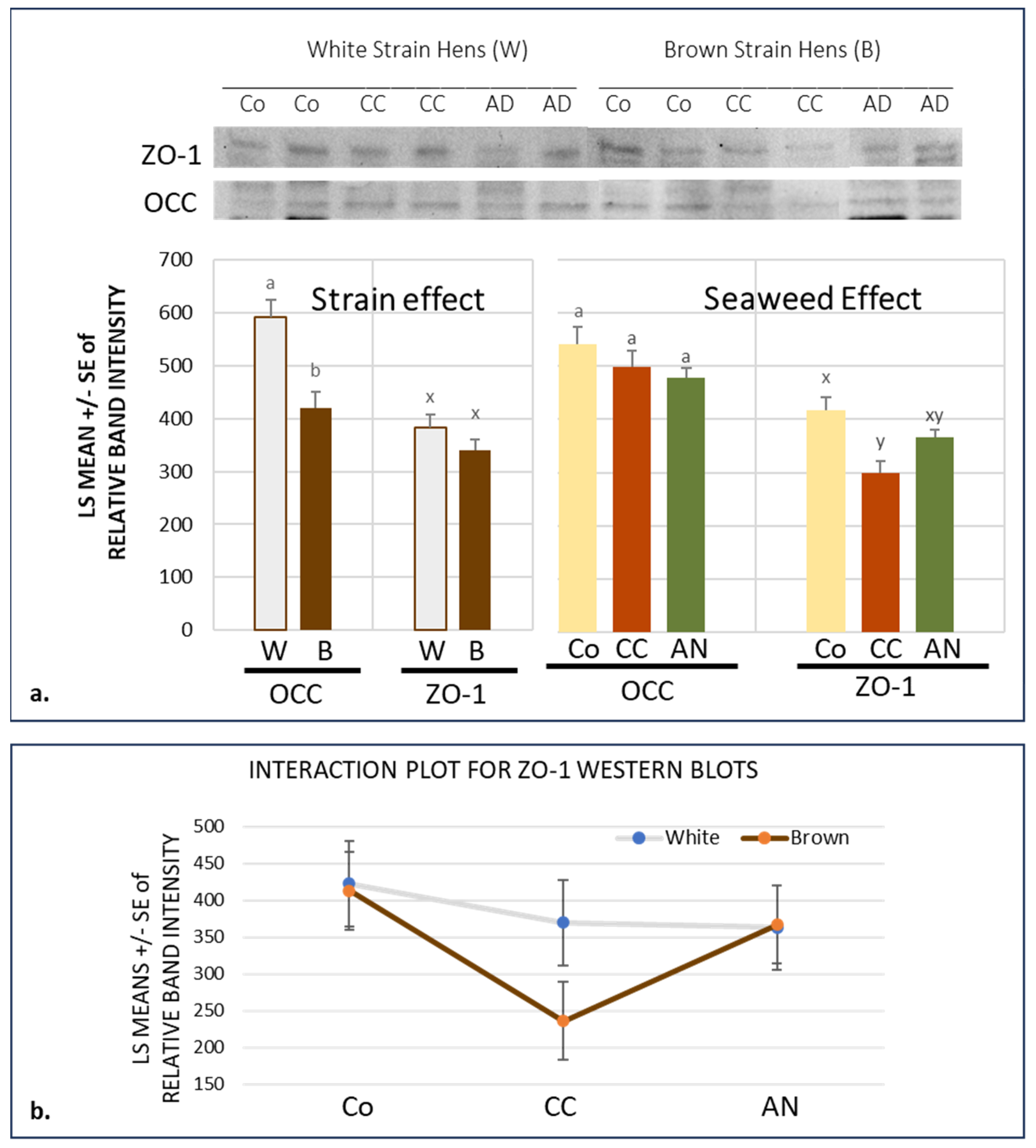 Animals 14 00777 g002