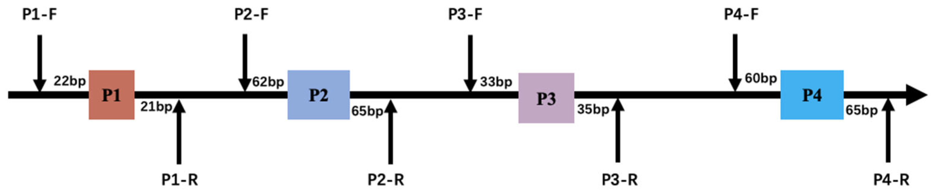 Animals 14 00796 g002