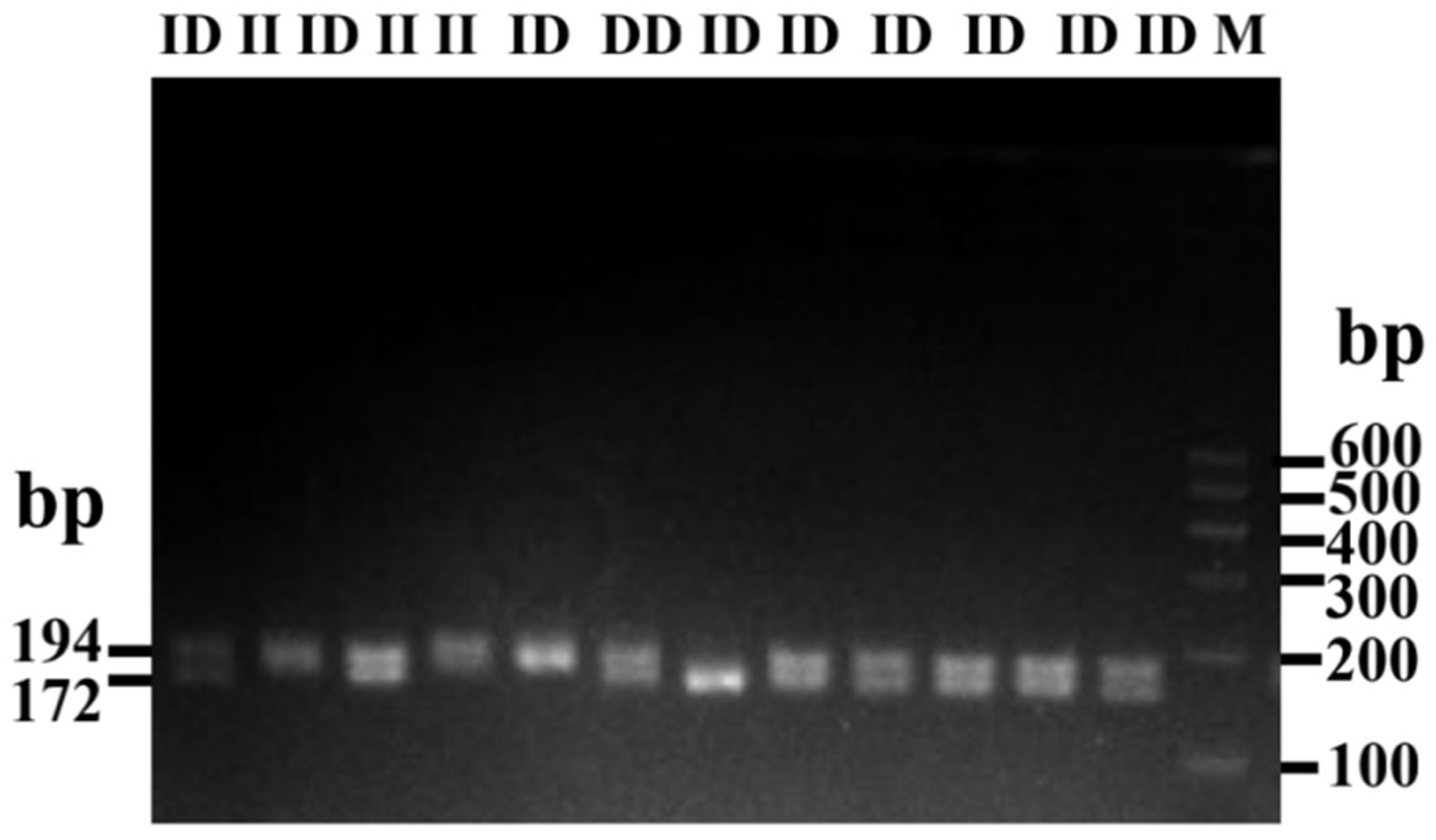 Animals 14 00796 g004