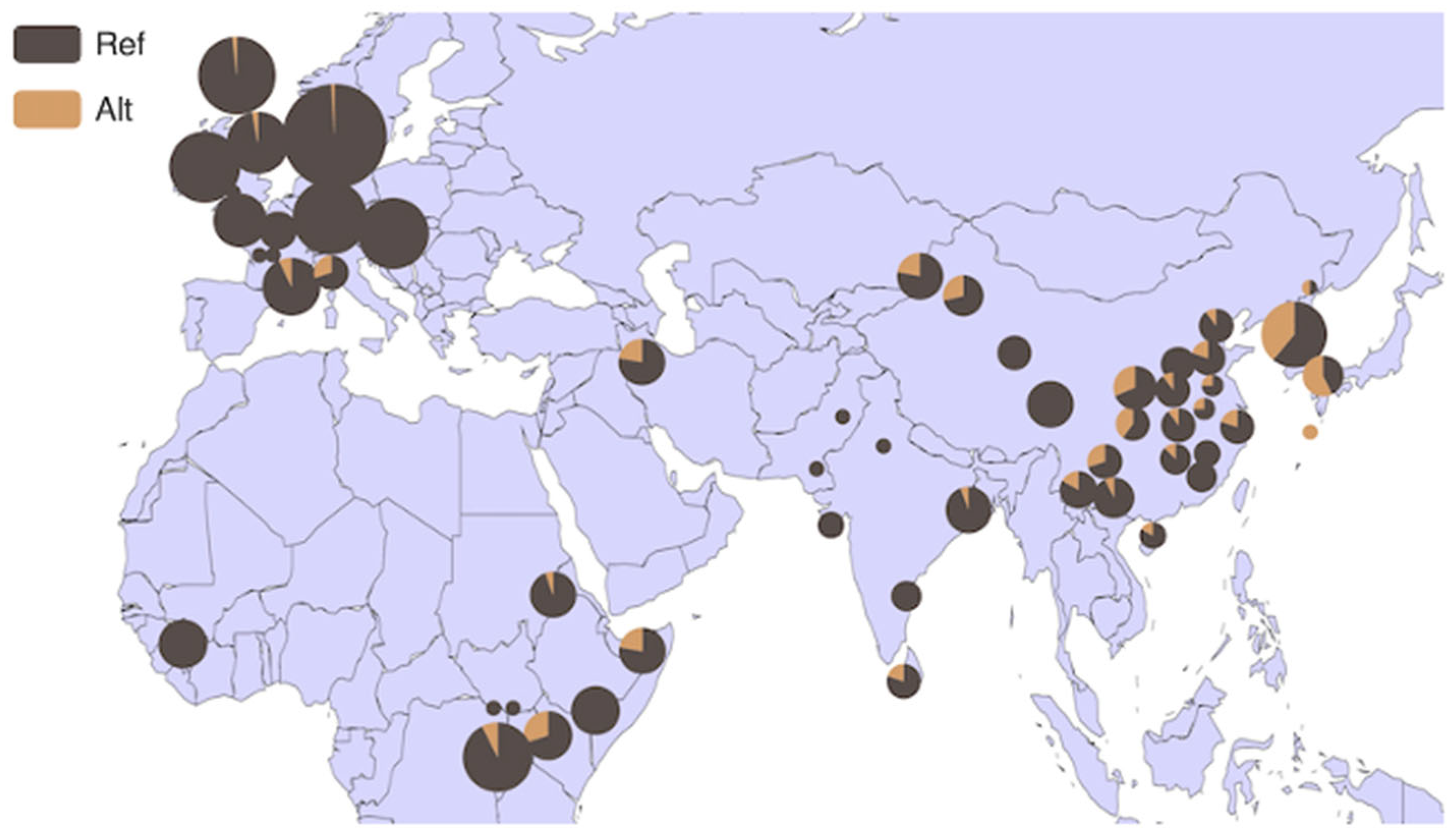 Animals 14 00796 g005