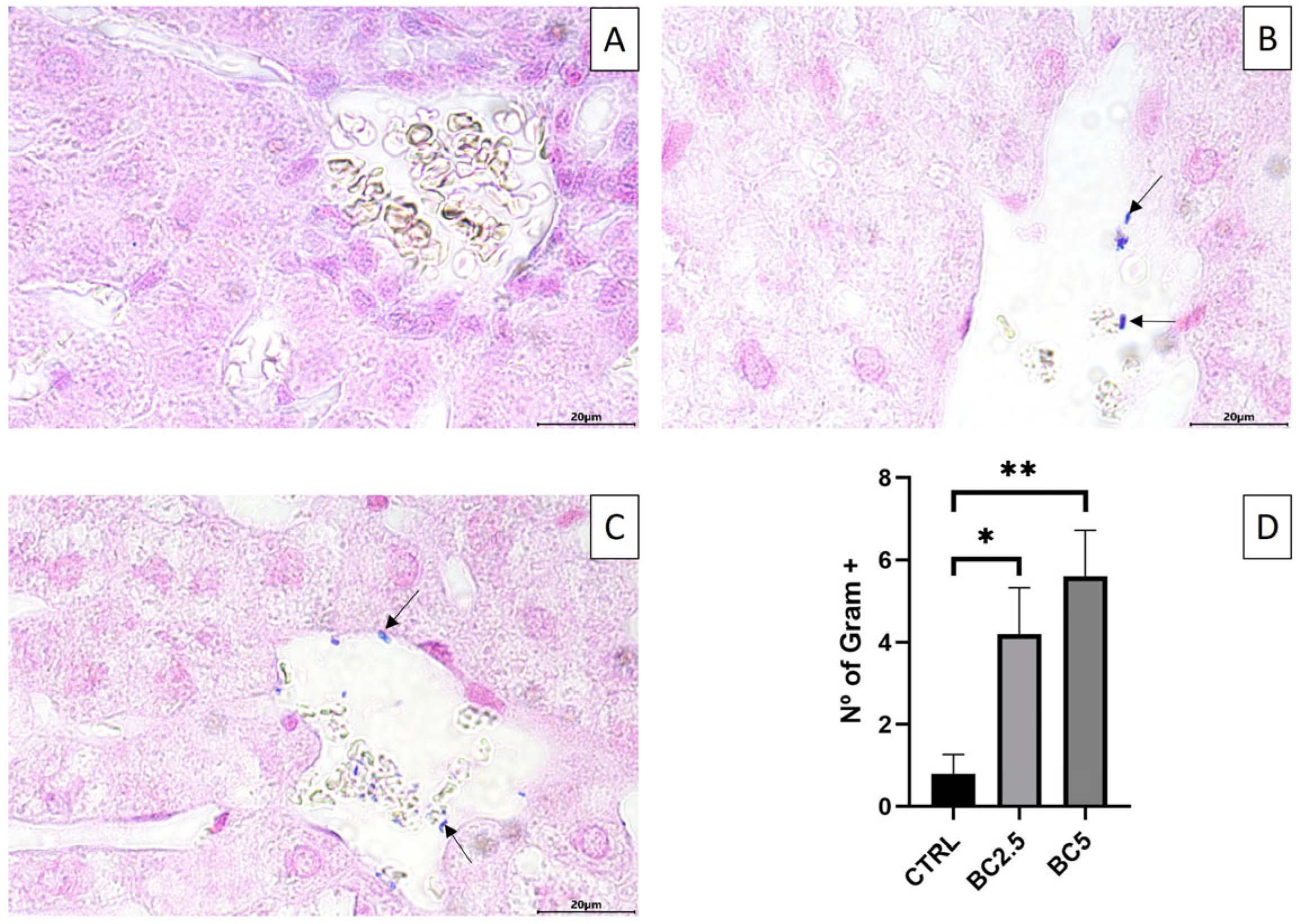 Animals 14 00800 g003