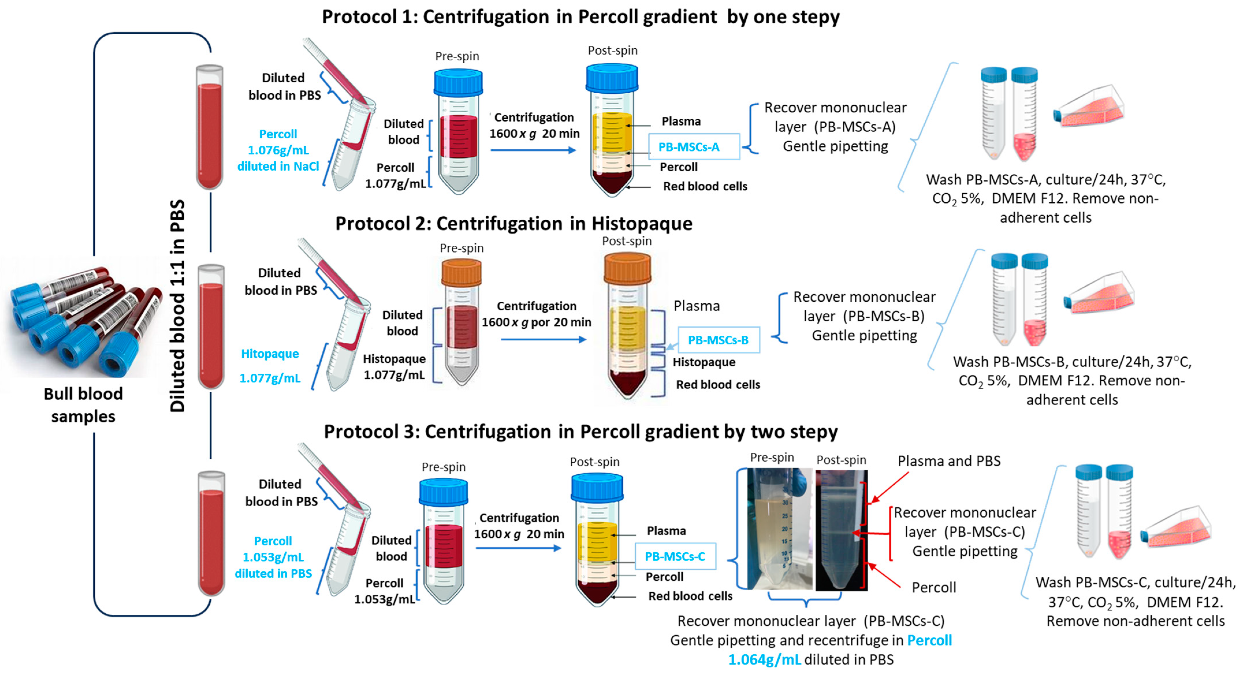 Animals 14 00803 g001