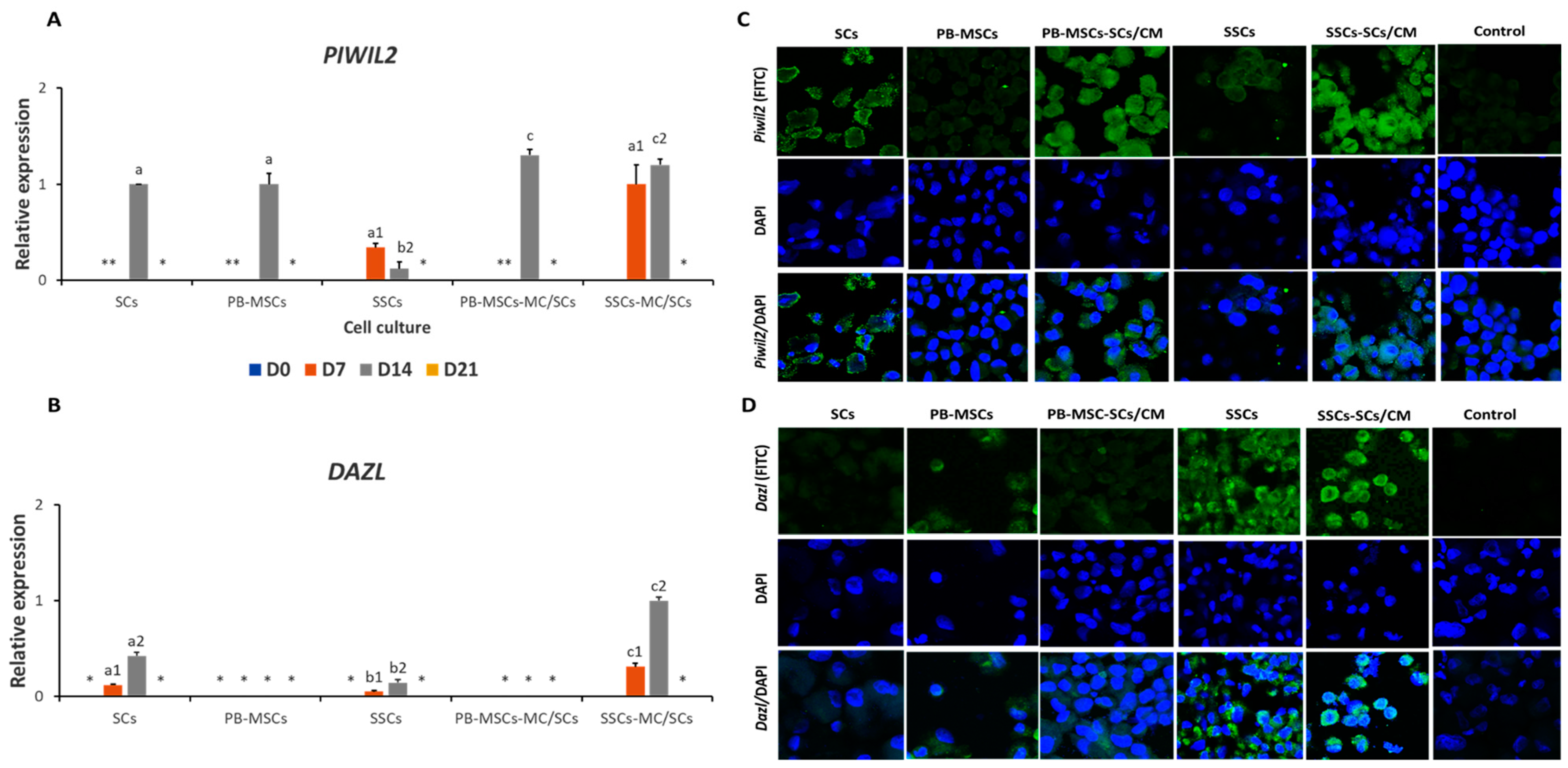 Animals 14 00803 g005