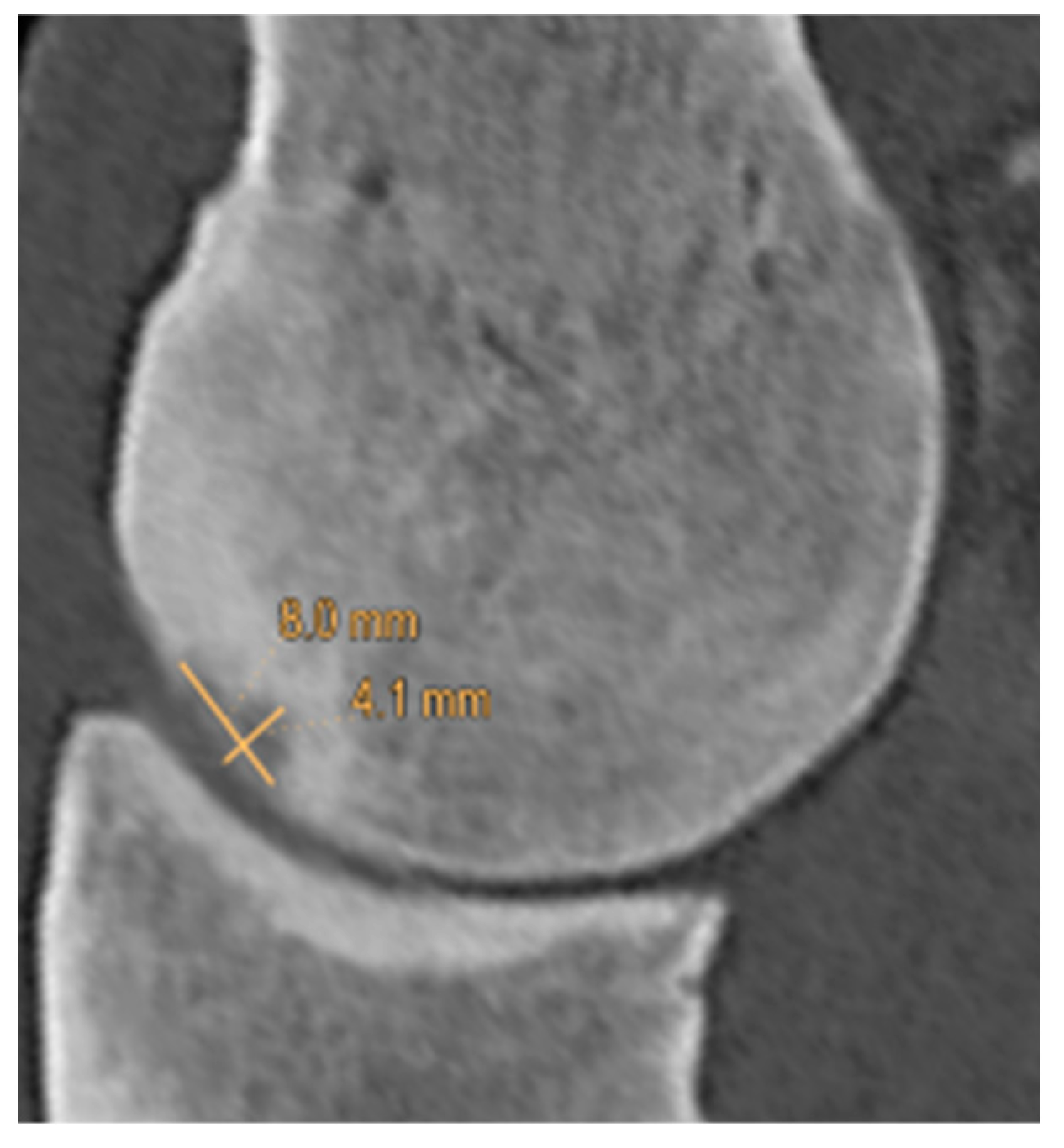 Animals 14 00812 g002