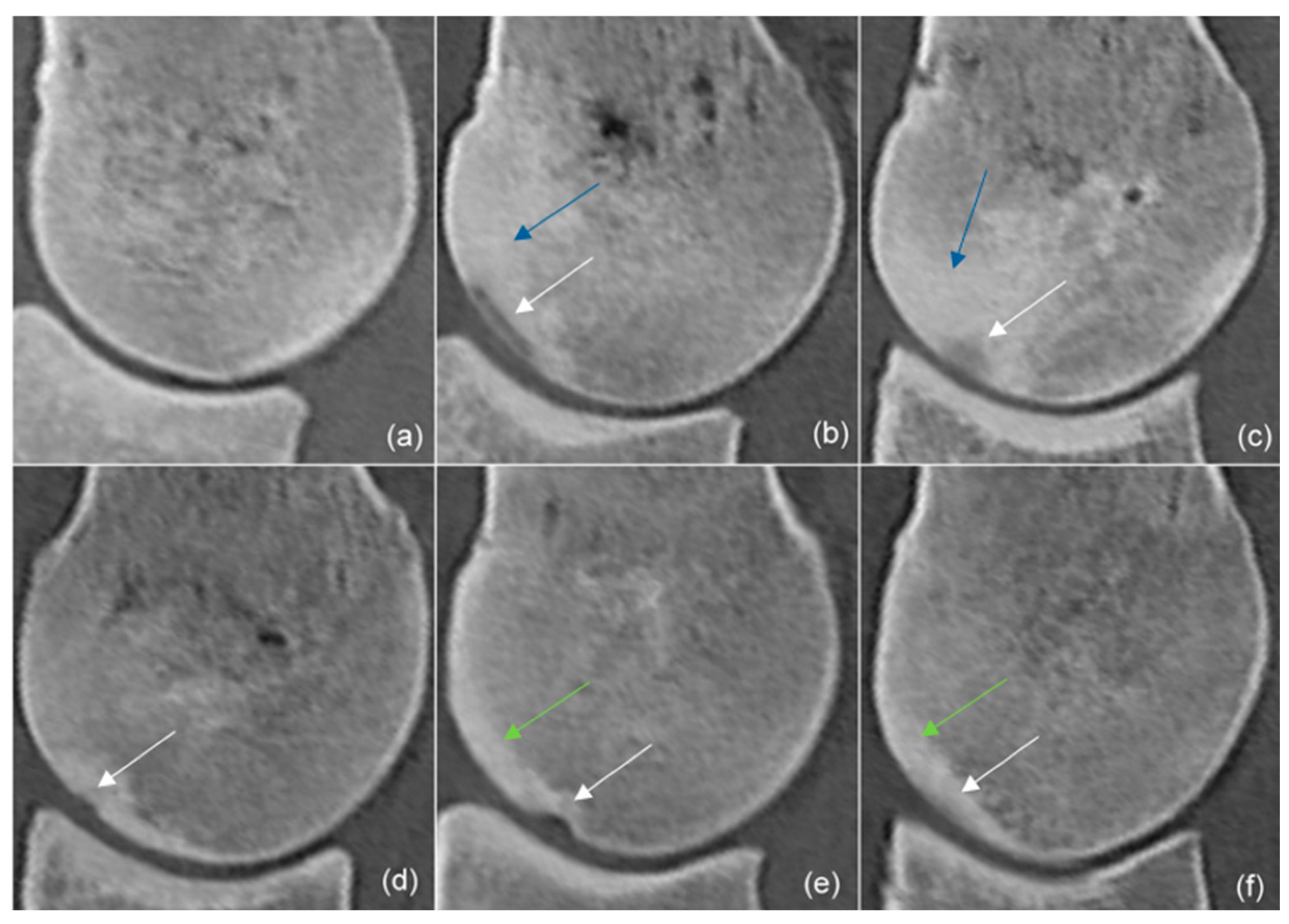 Animals 14 00812 g003