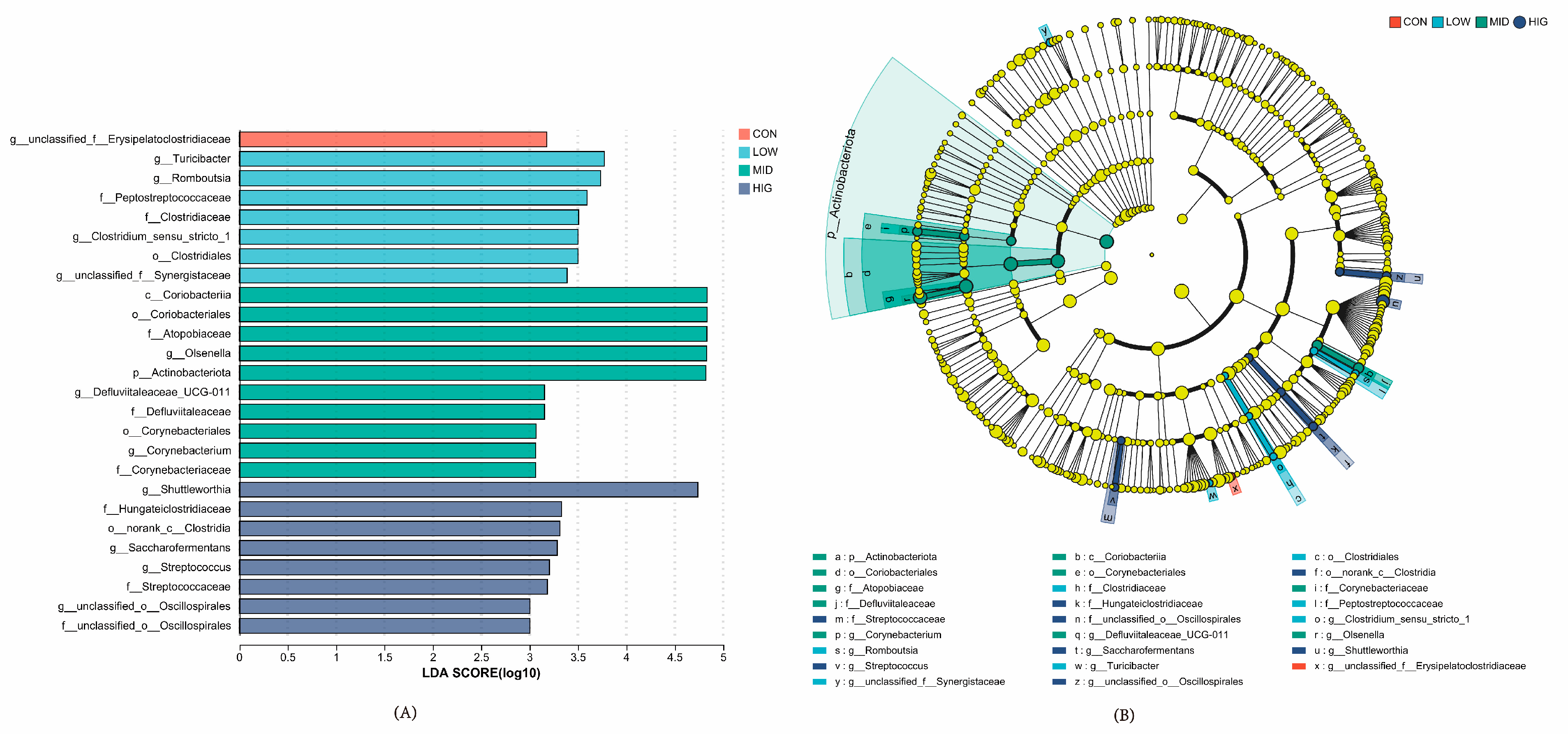 Animals 14 00820 g005