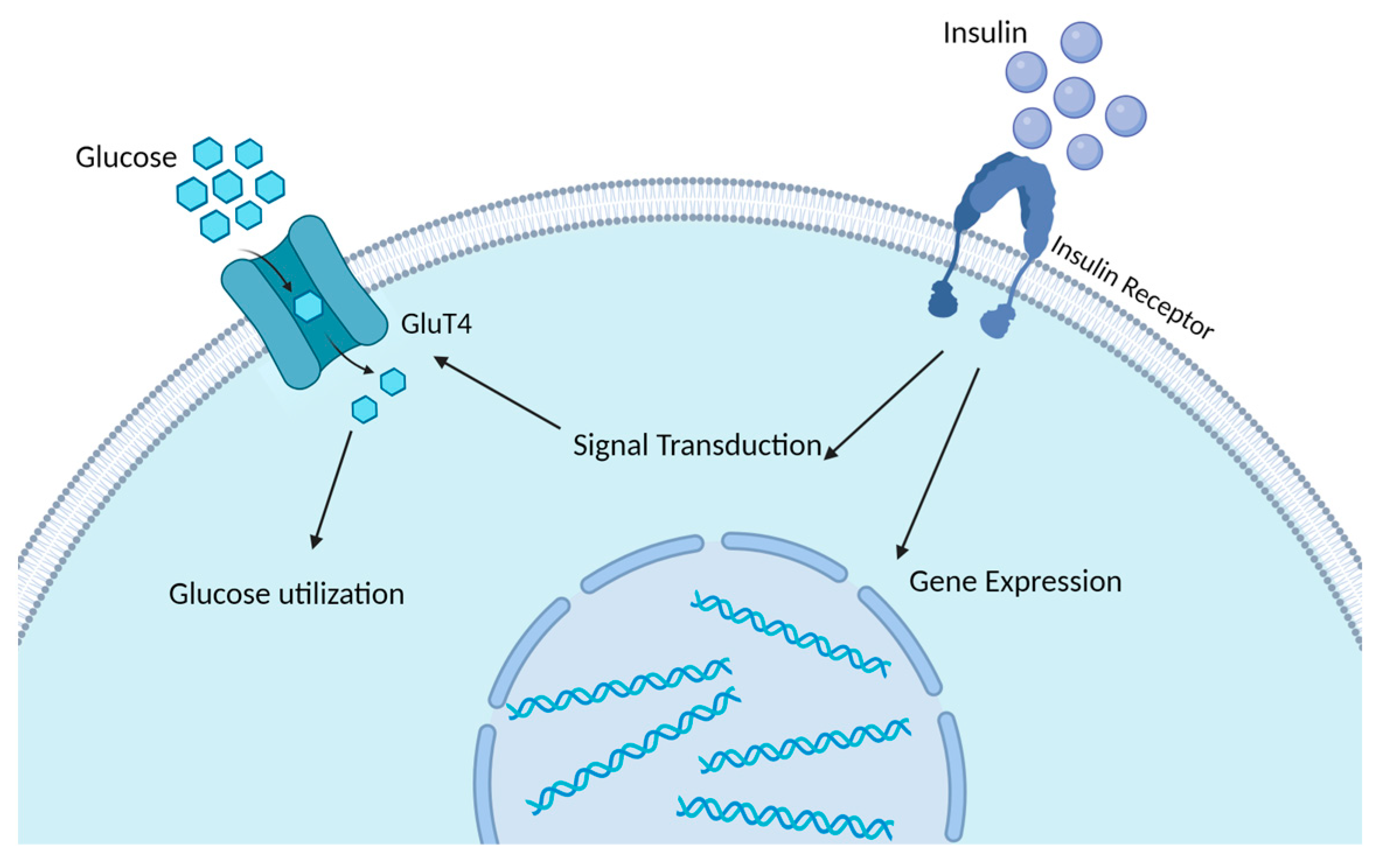 Animals 14 00832 g002