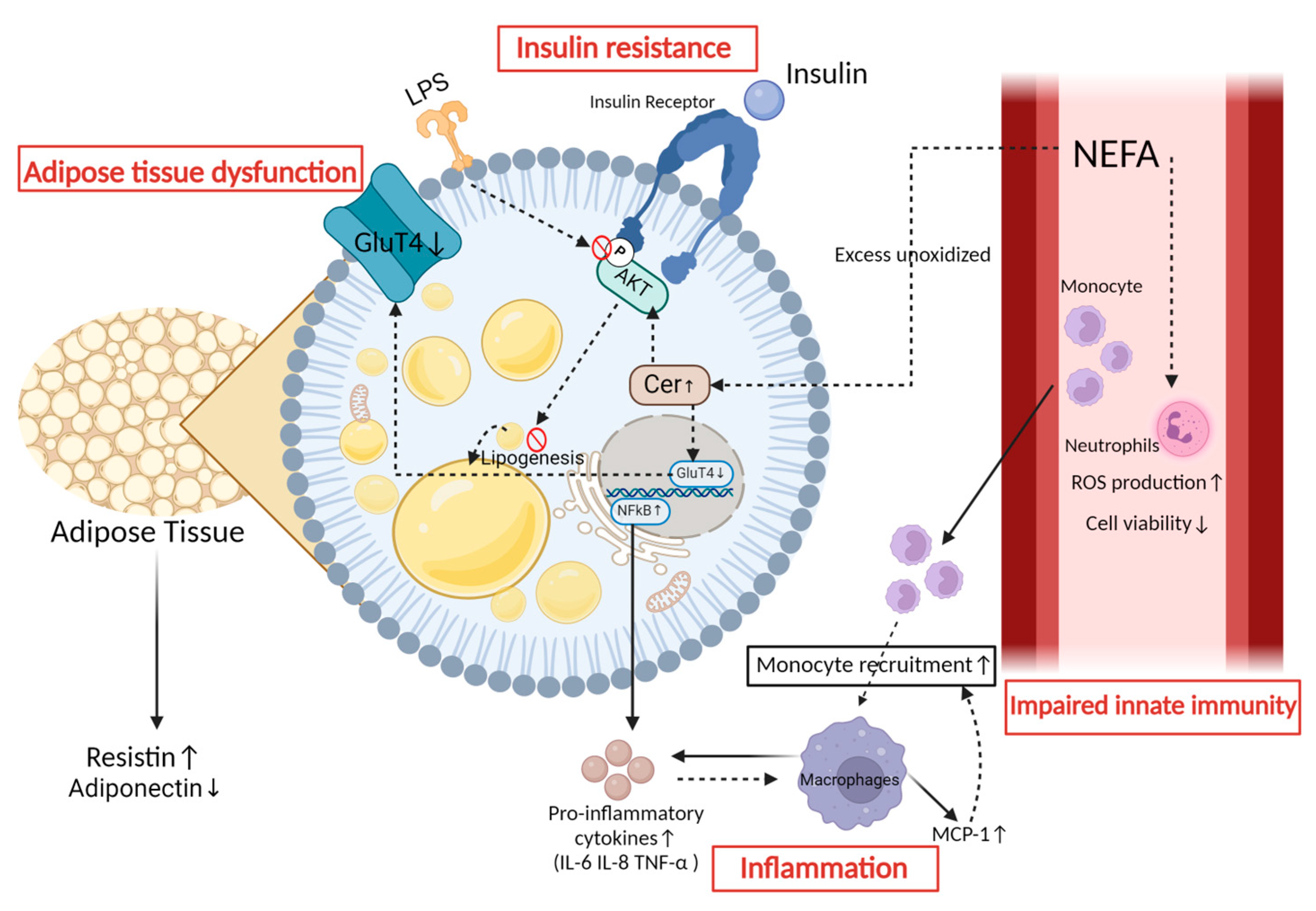 Animals 14 00832 g003