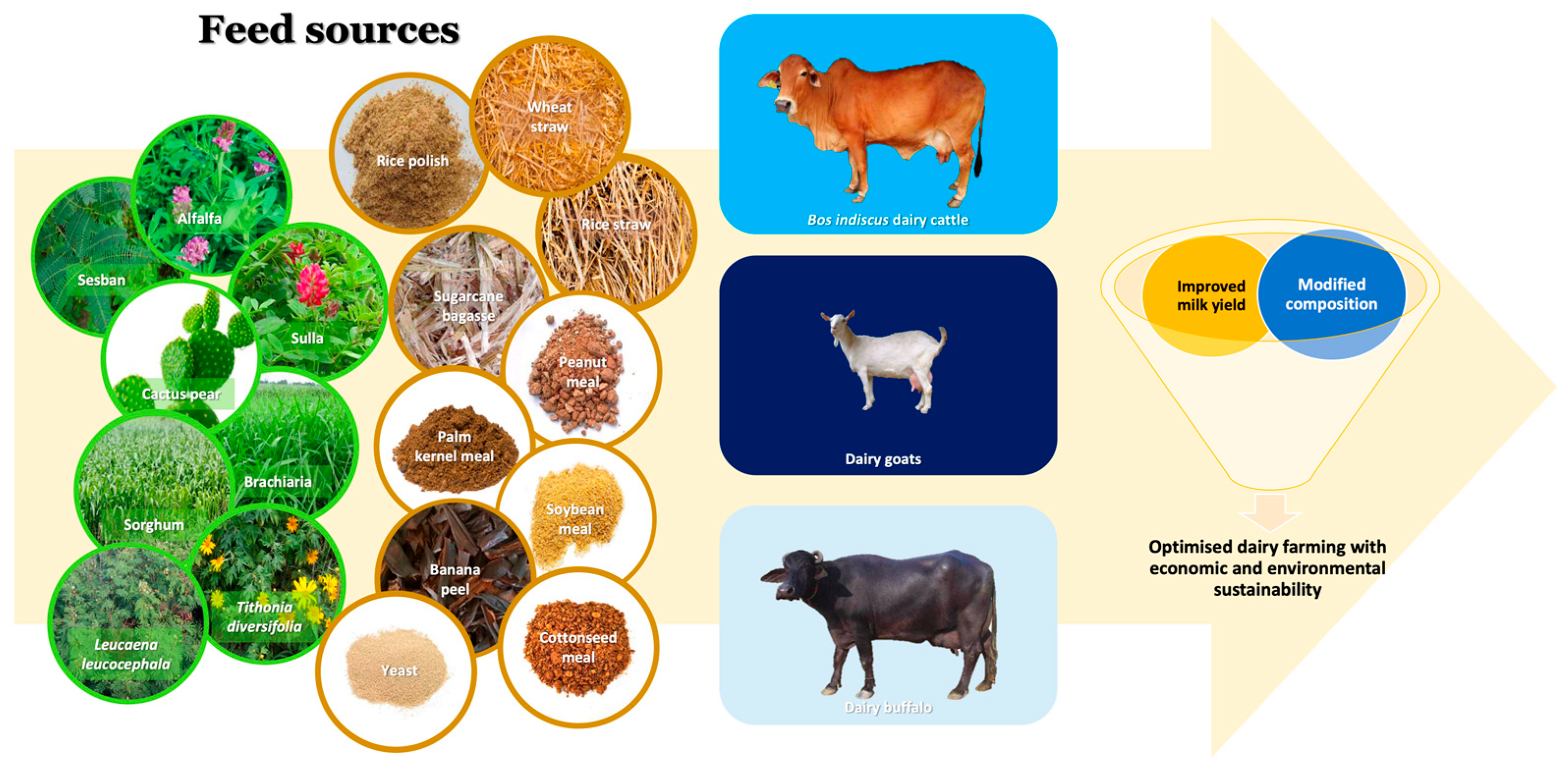 Animals 14 00840 g007