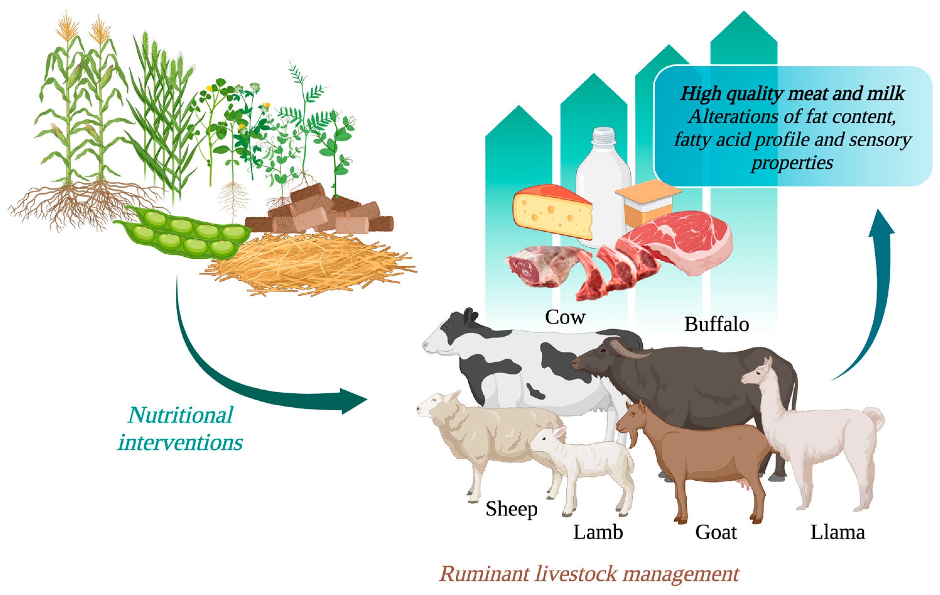 Animals 14 00840 g008