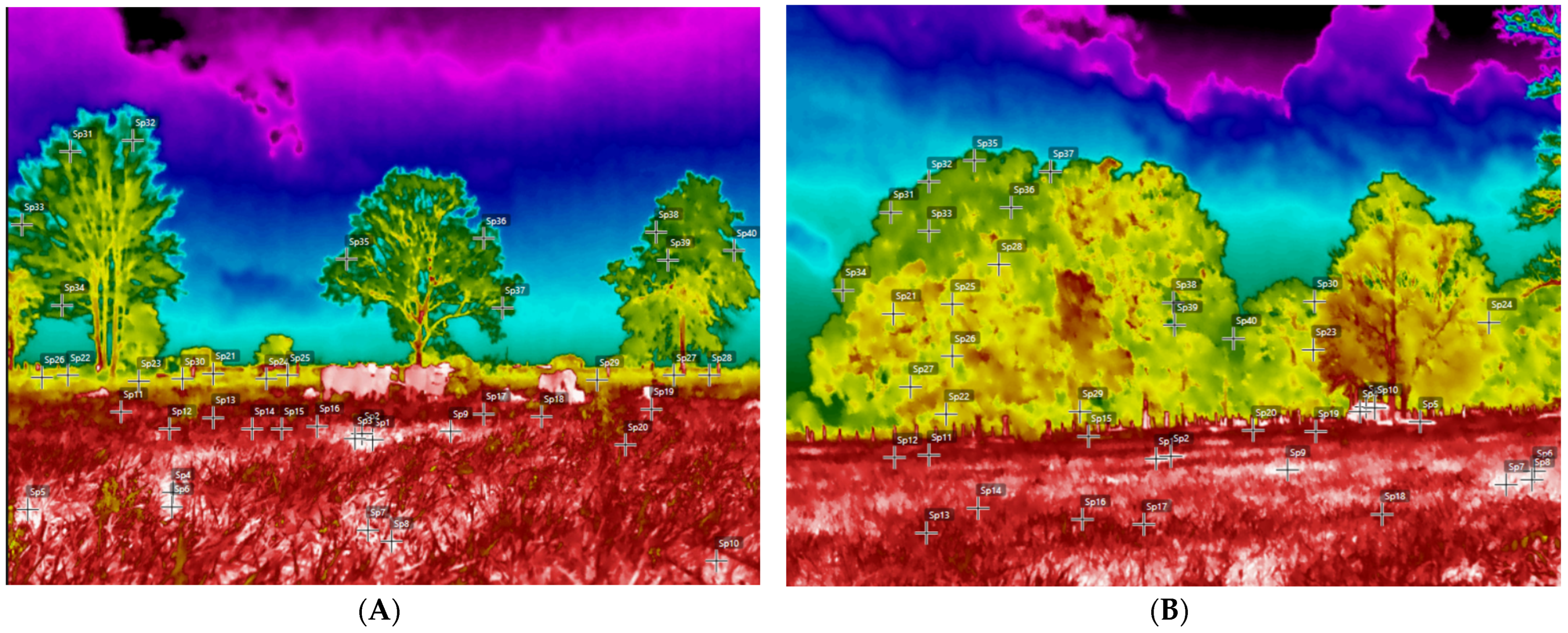 Animals 14 00855 g002a