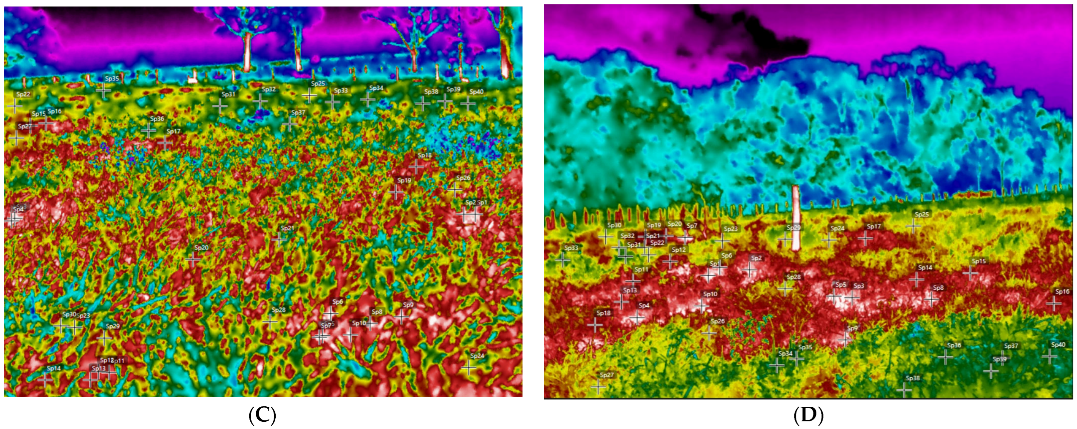 Animals 14 00855 g002b