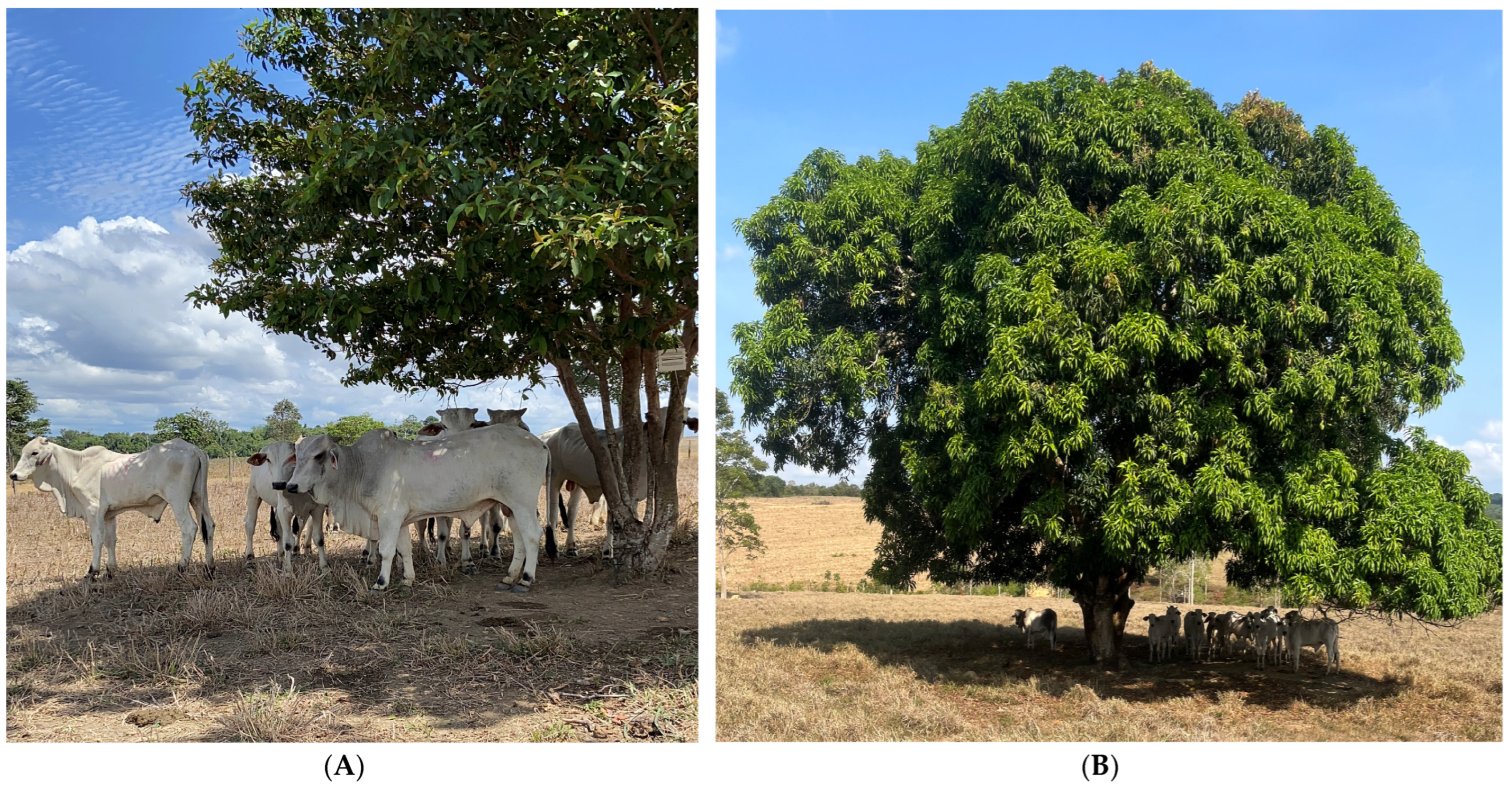 Animals 14 00855 g007