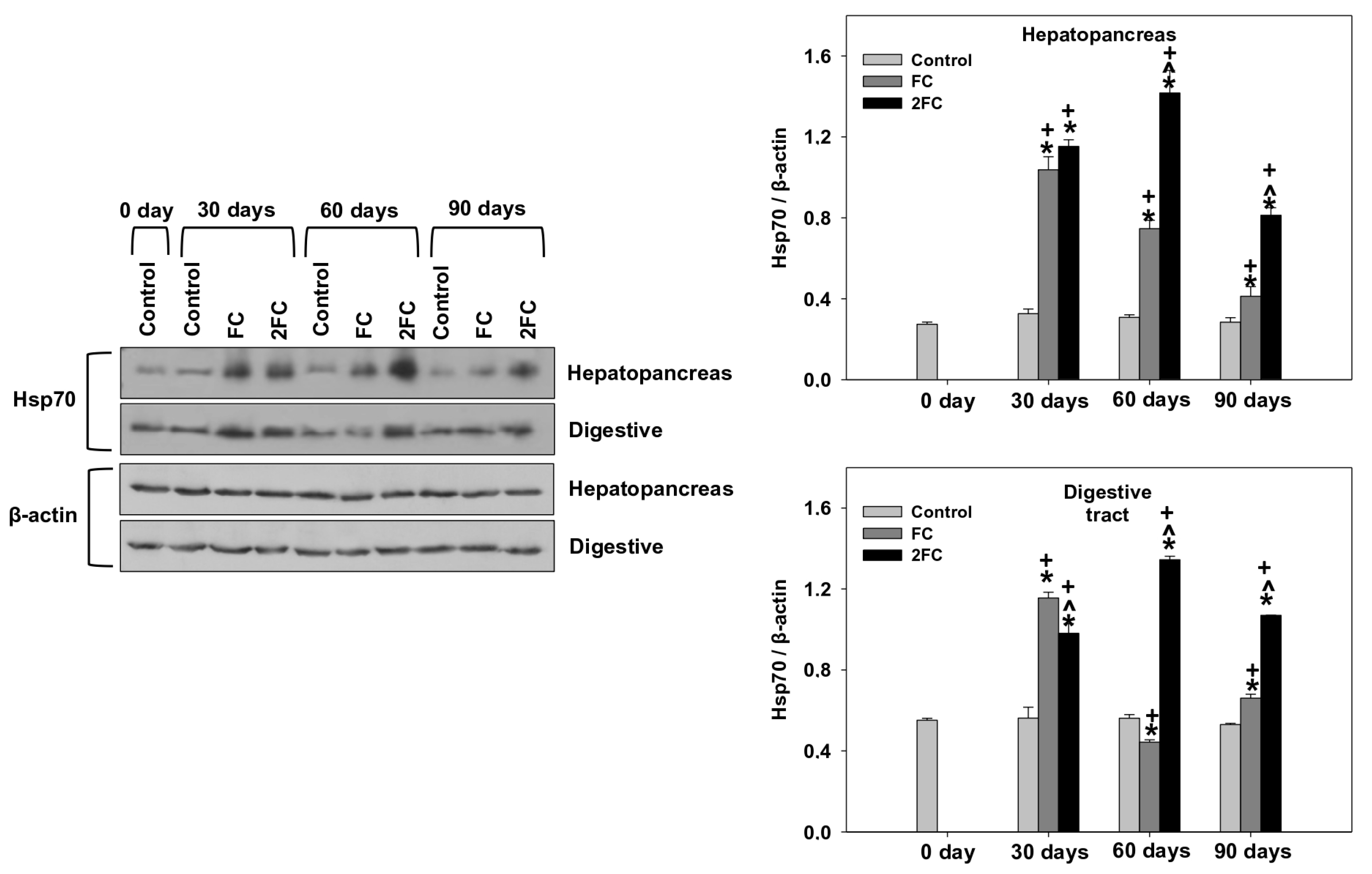 Animals 14 00857 g004