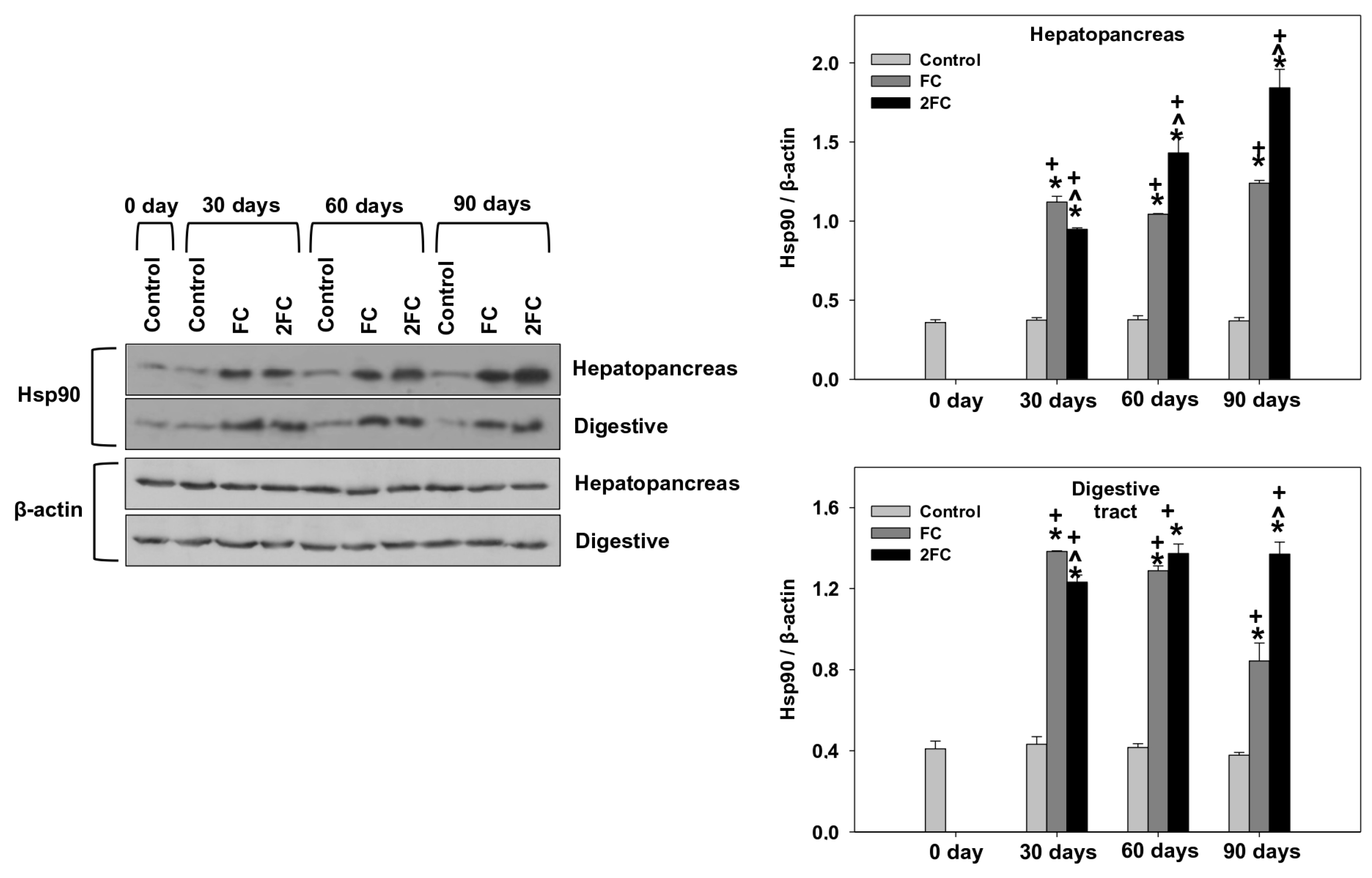 Animals 14 00857 g005