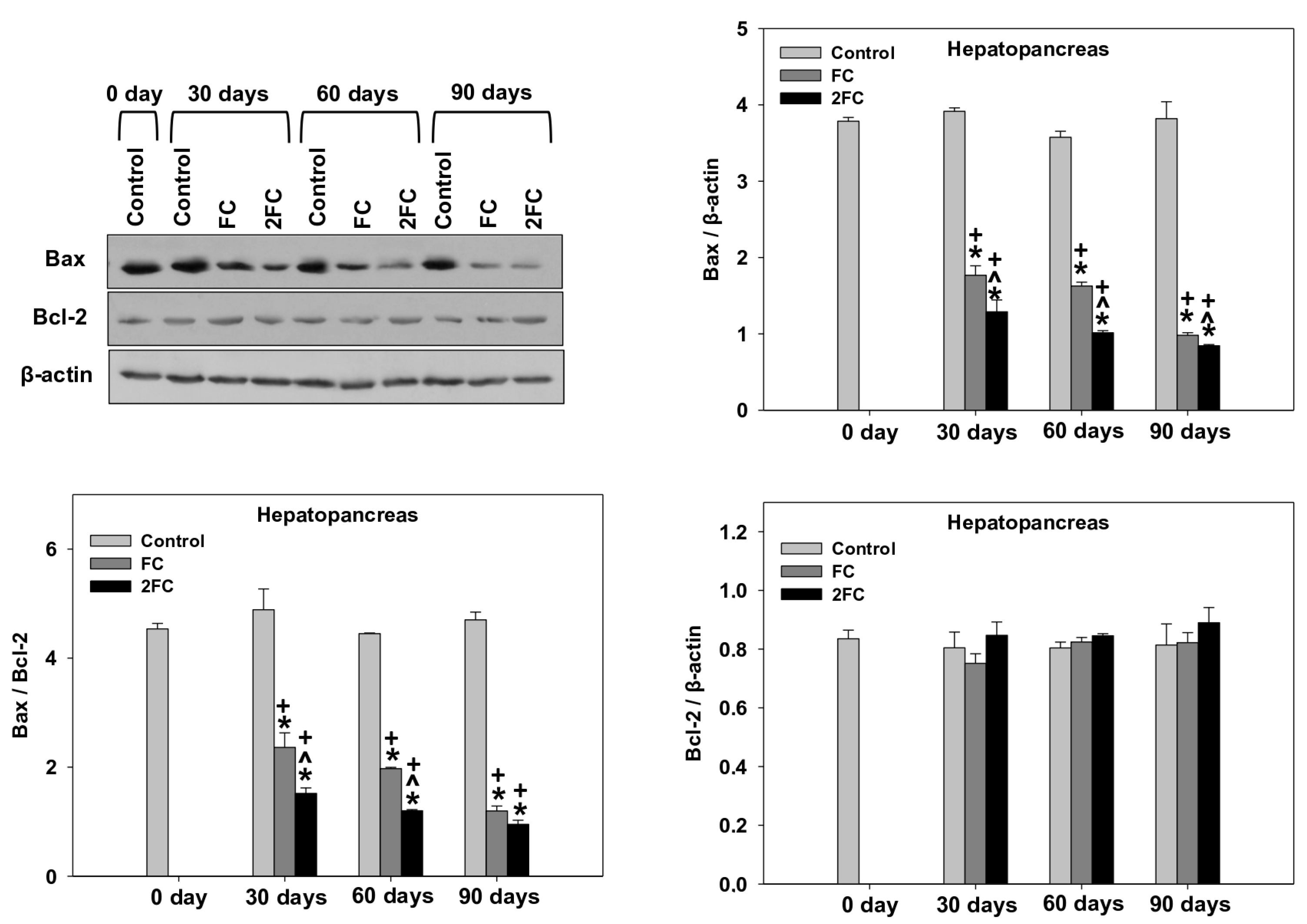 Animals 14 00857 g006