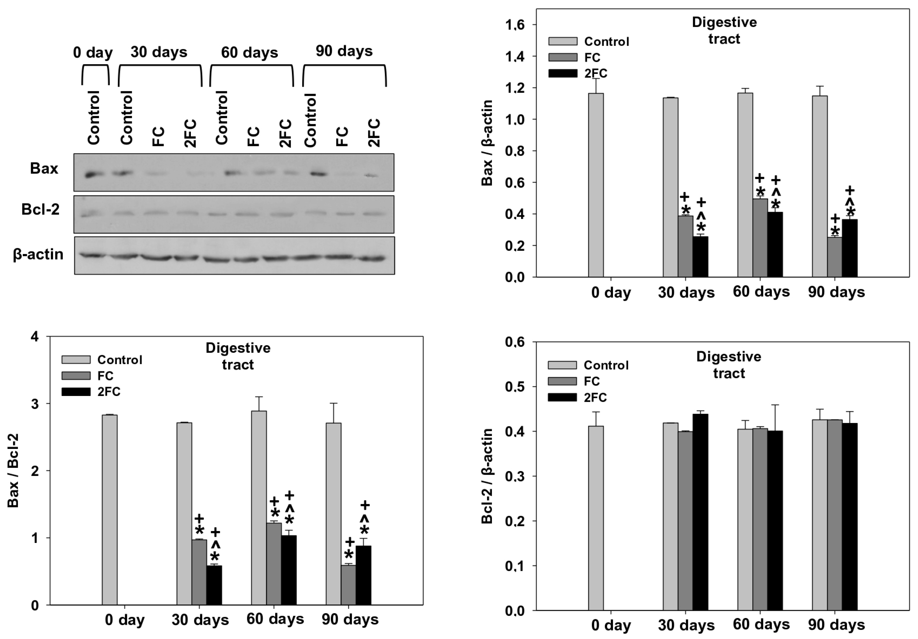Animals 14 00857 g007