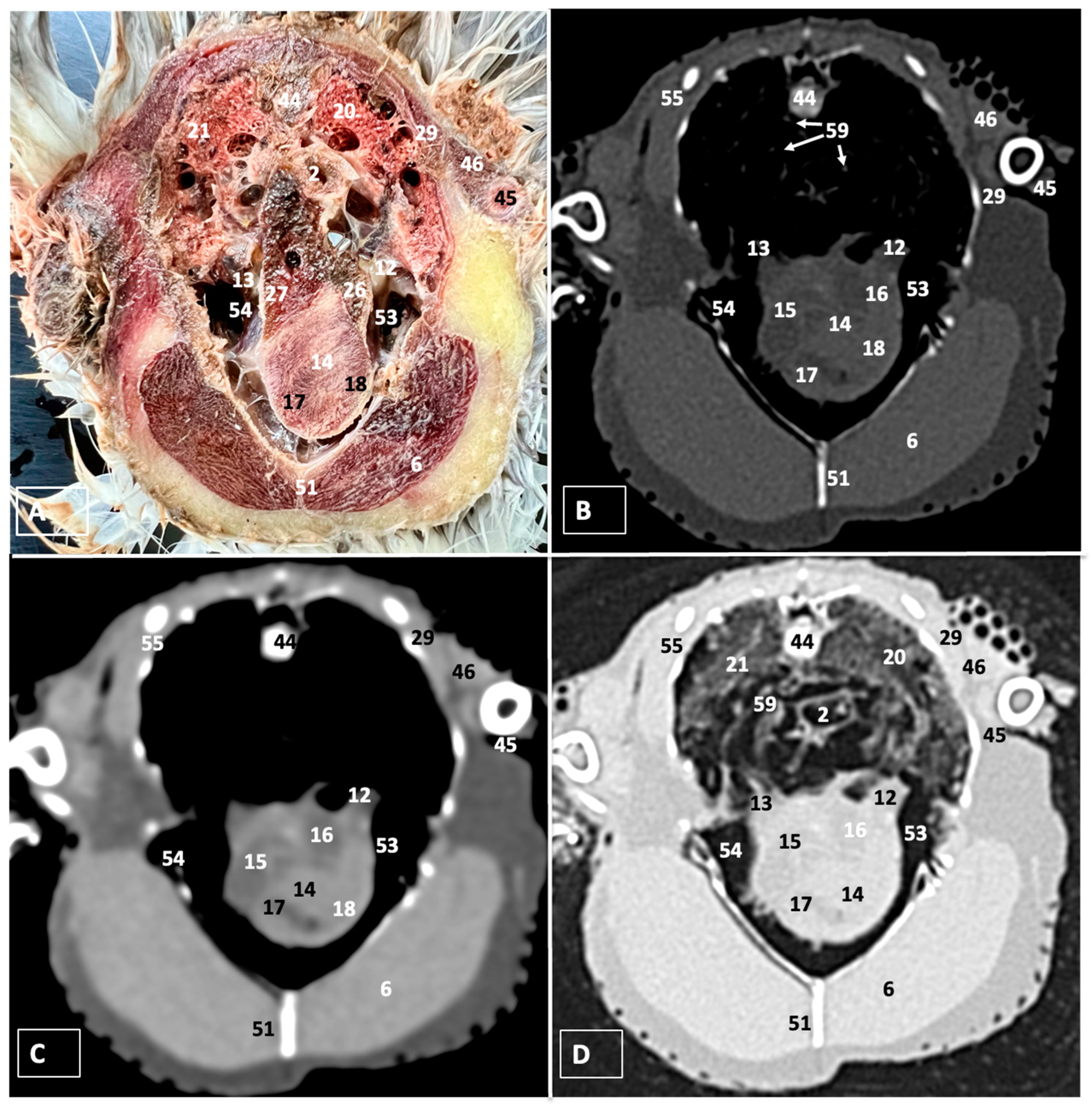 Animals 14 00858 g005