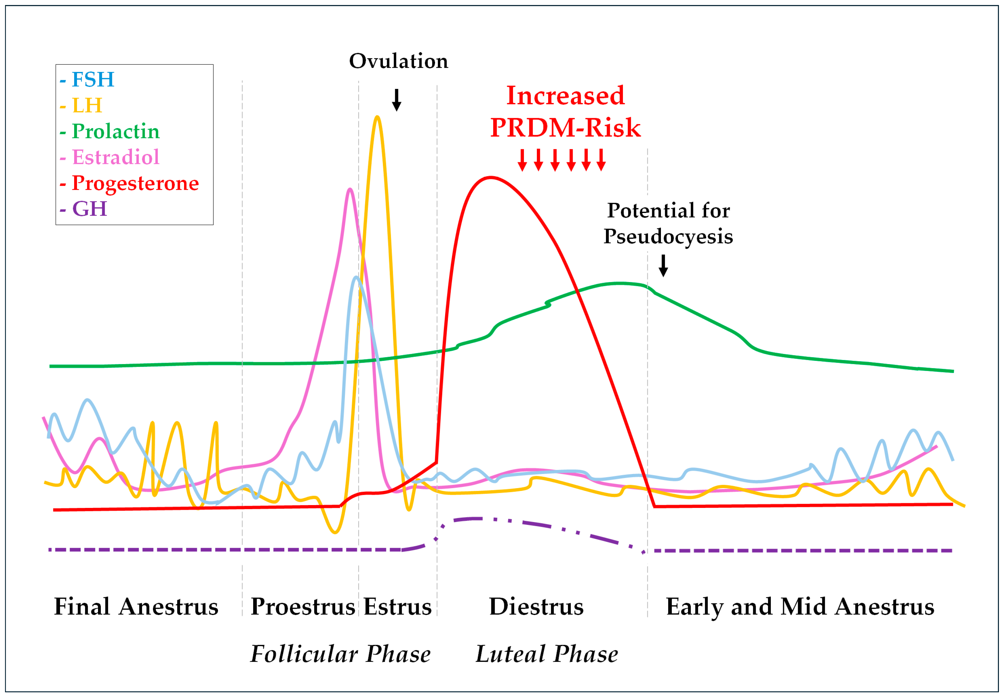 Animals 14 00890 g001
