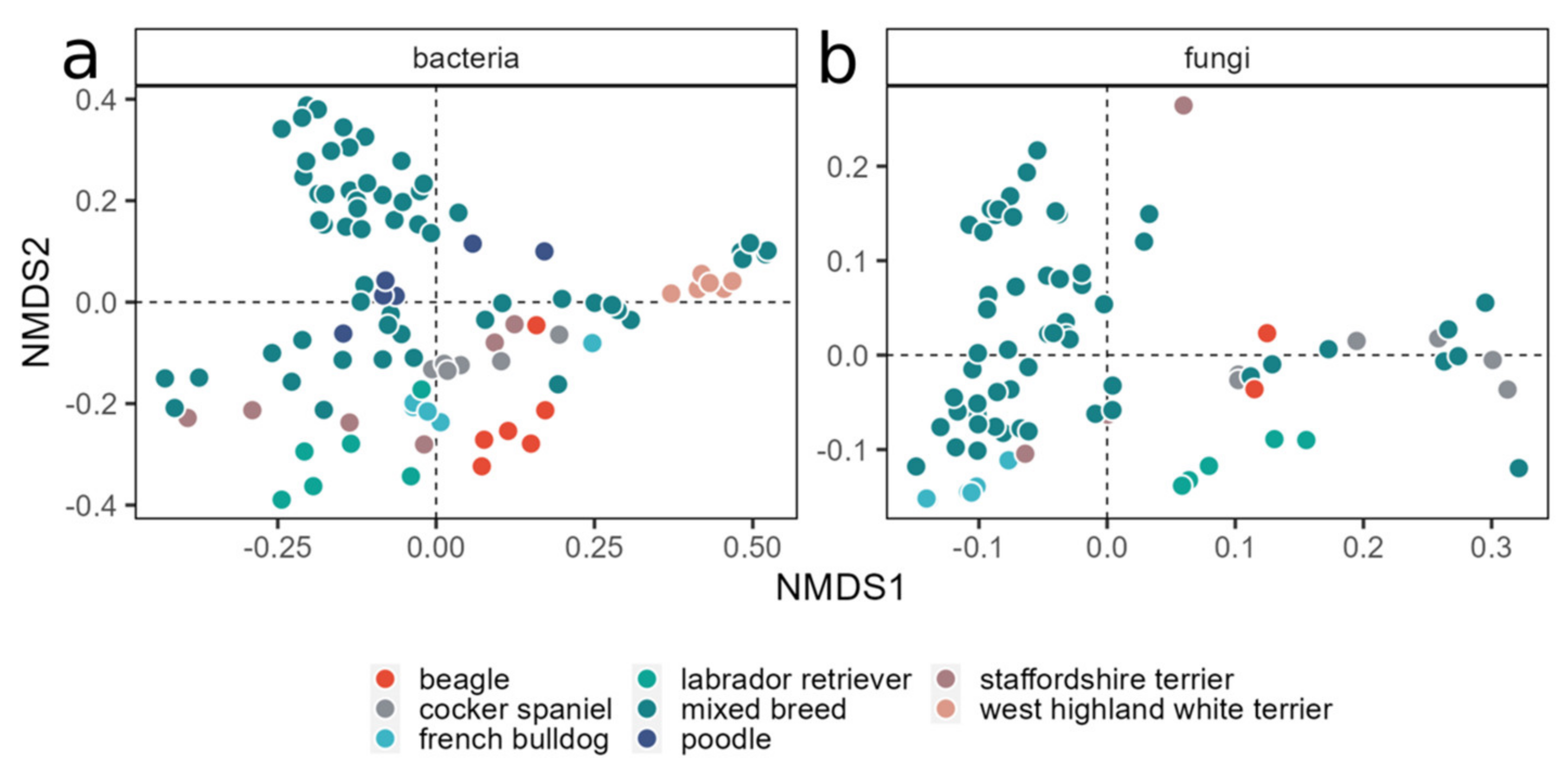 Animals 14 00906 g006