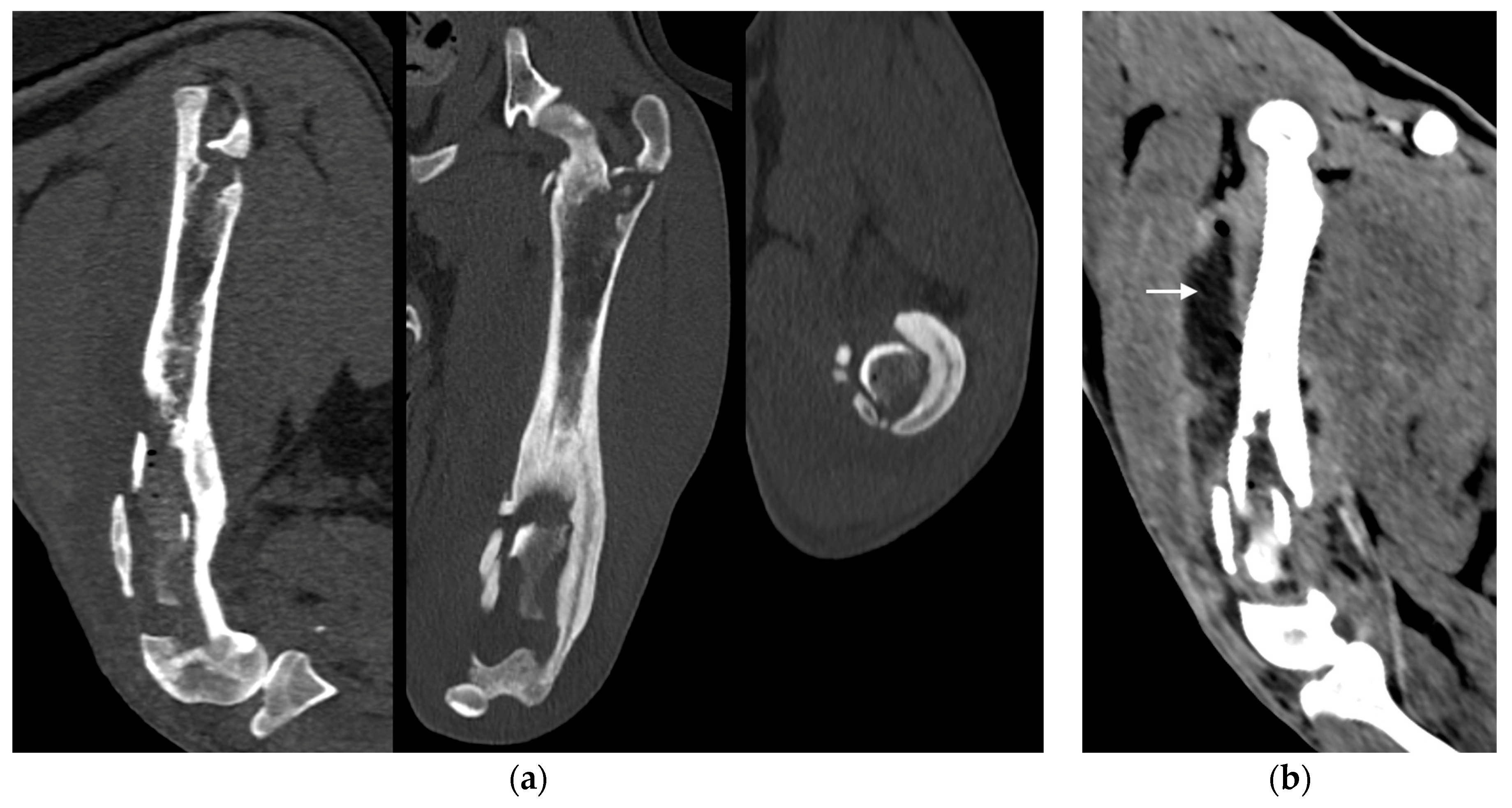 Animals 14 00909 g003