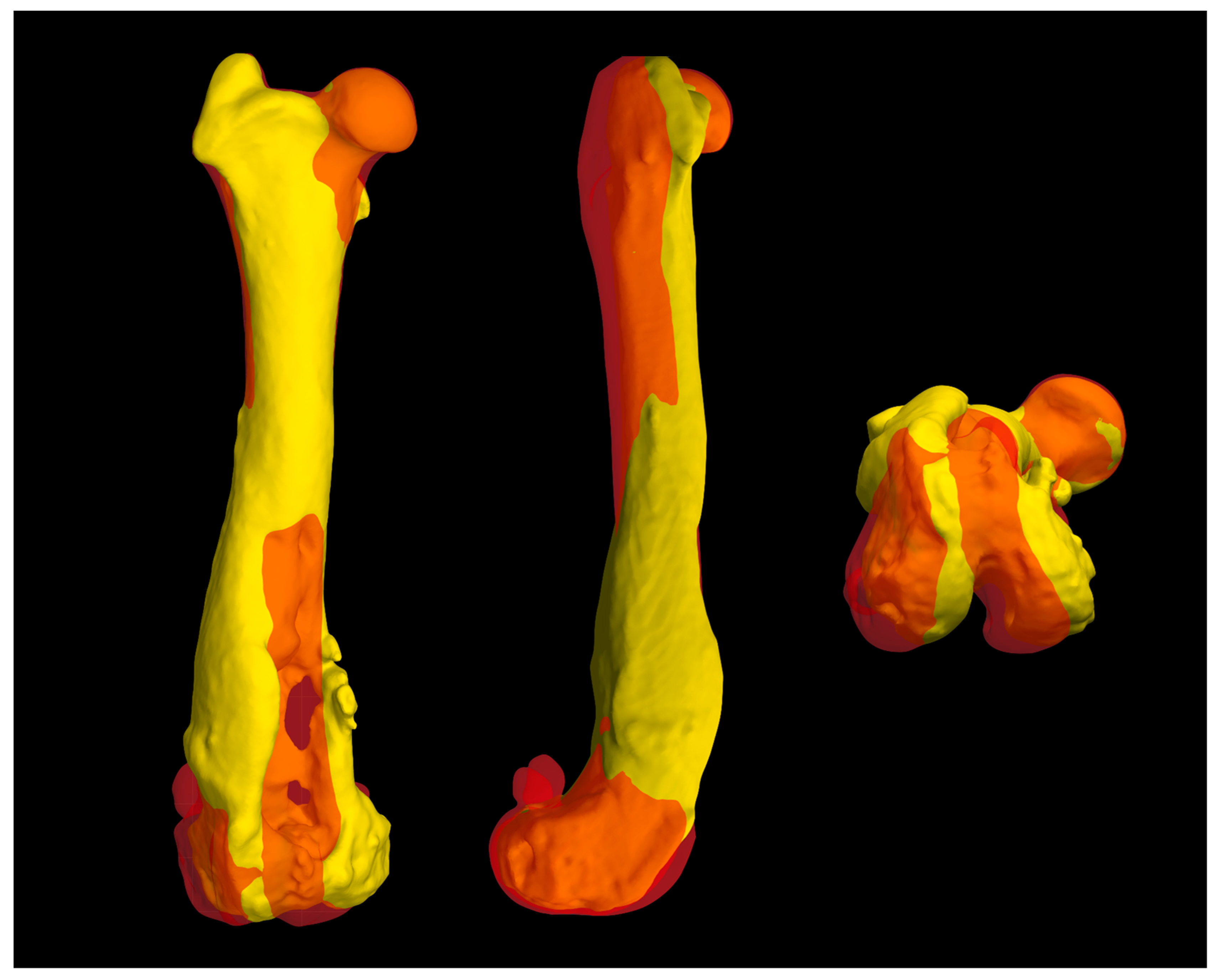 Animals 14 00909 g005