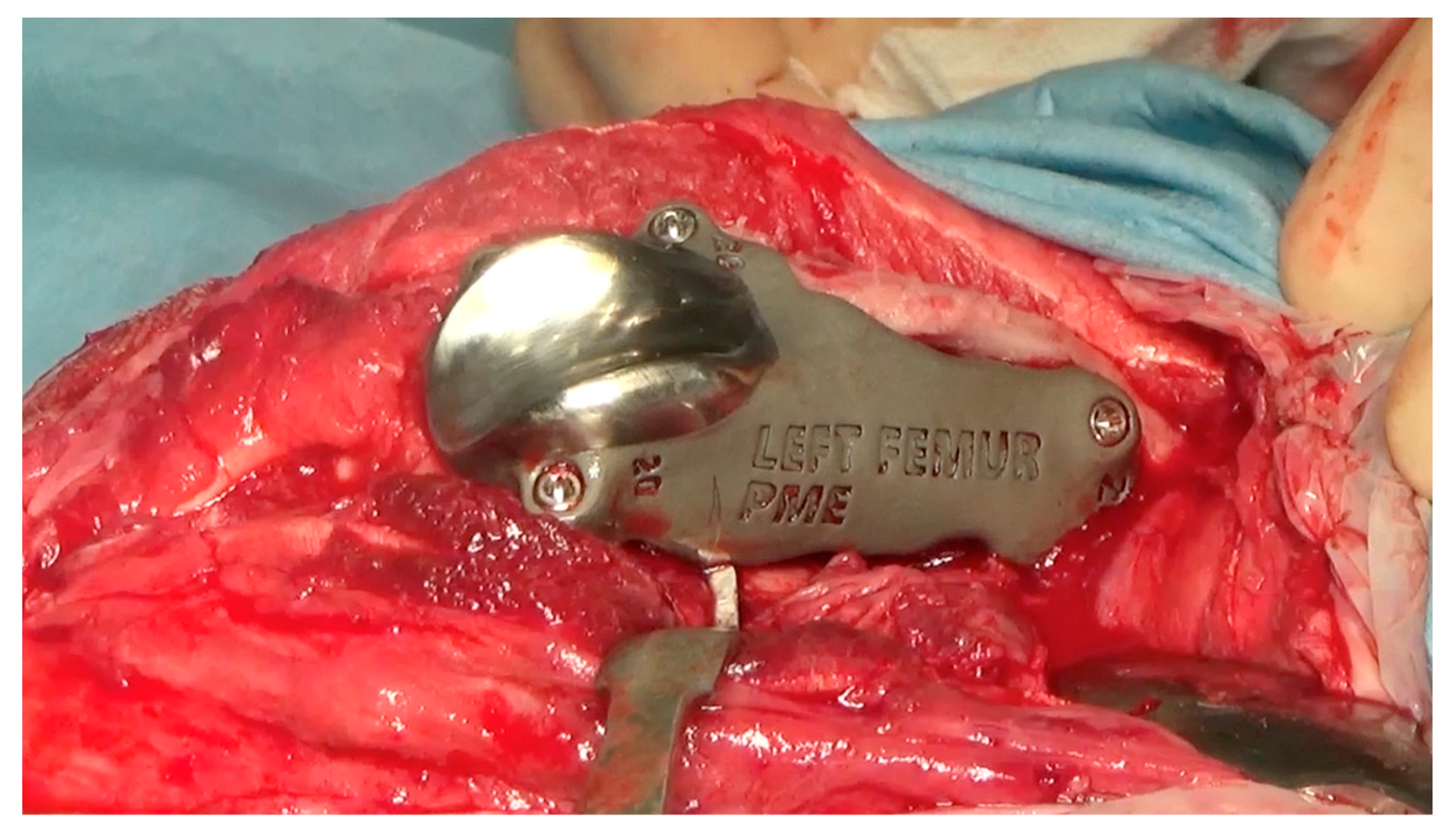 Animals 14 00909 g009