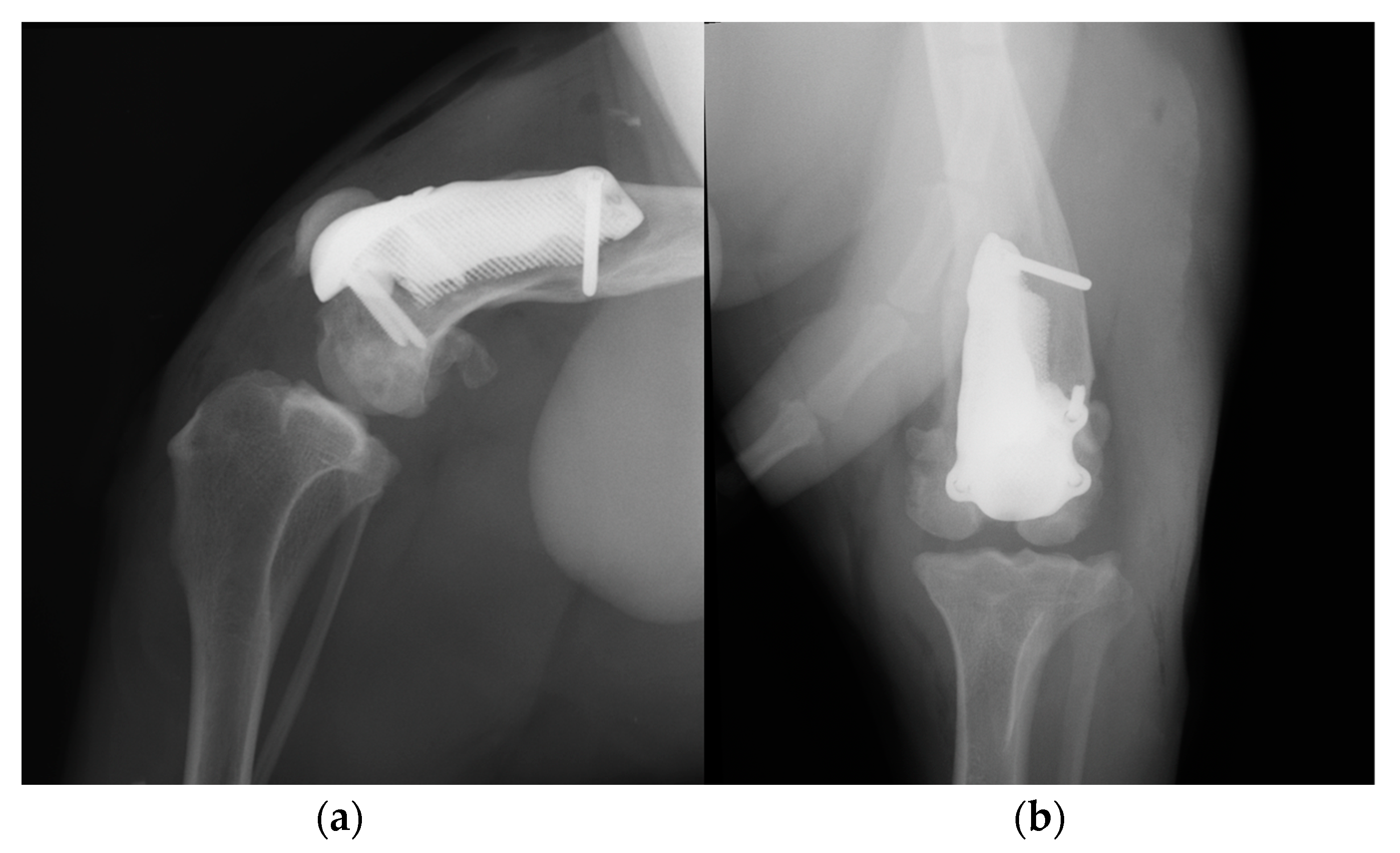 Animals 14 00909 g010