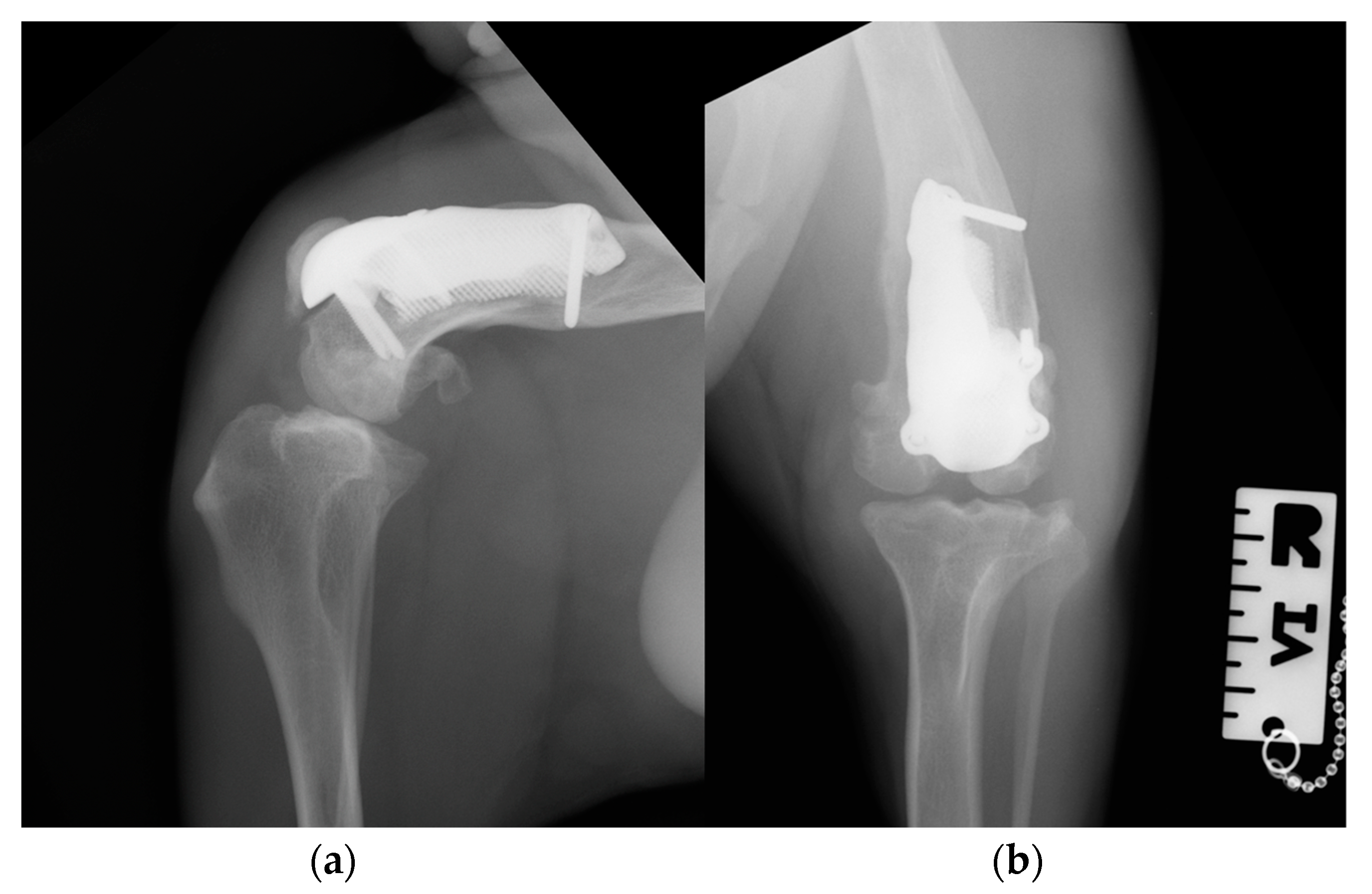 Animals 14 00909 g011