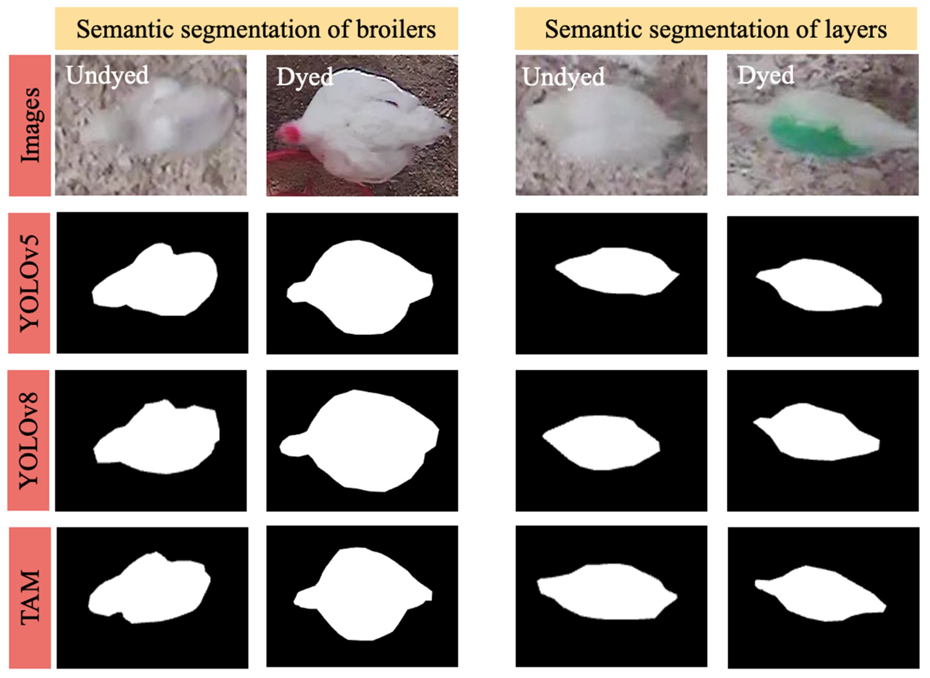 Animals 14 00911 g004