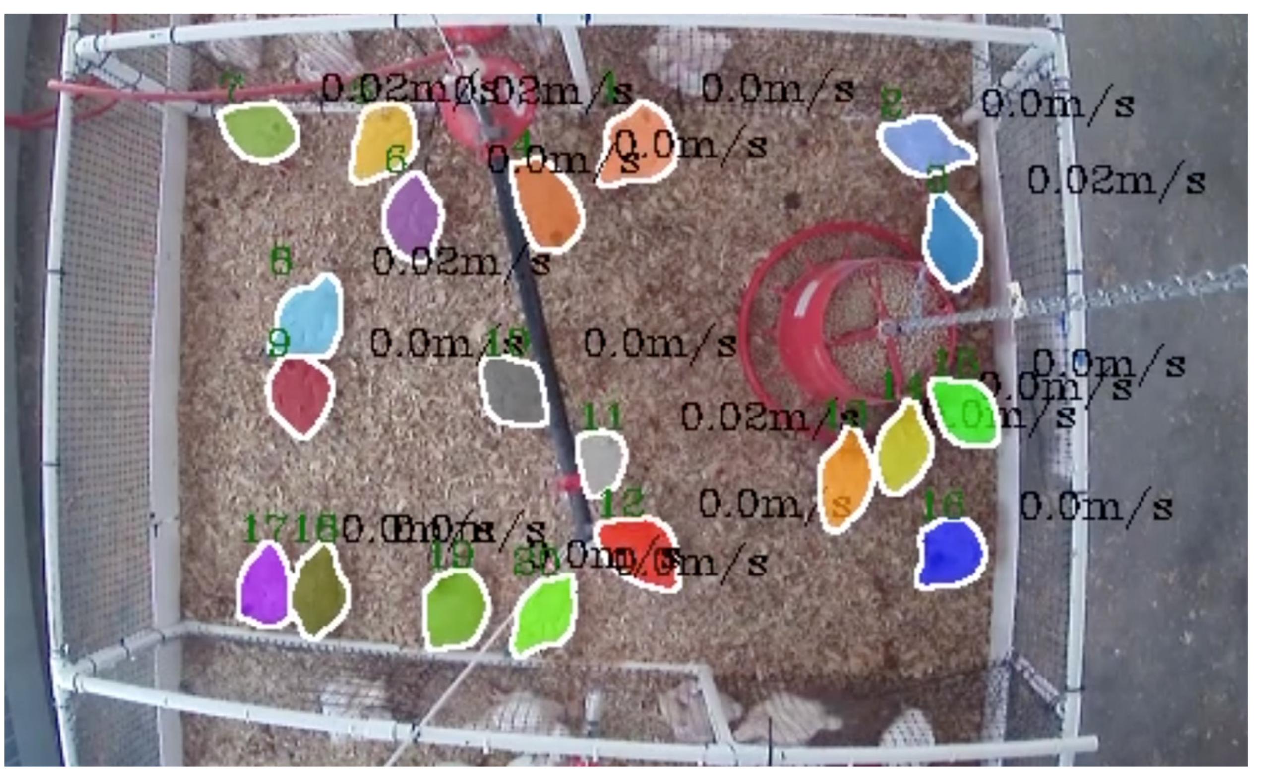 Animals 14 00911 g005