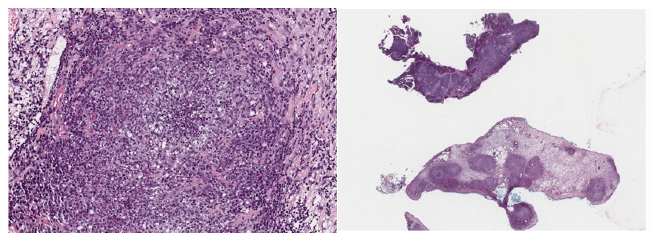 Animals 14 00916 g001 Animals 14 00916 g001