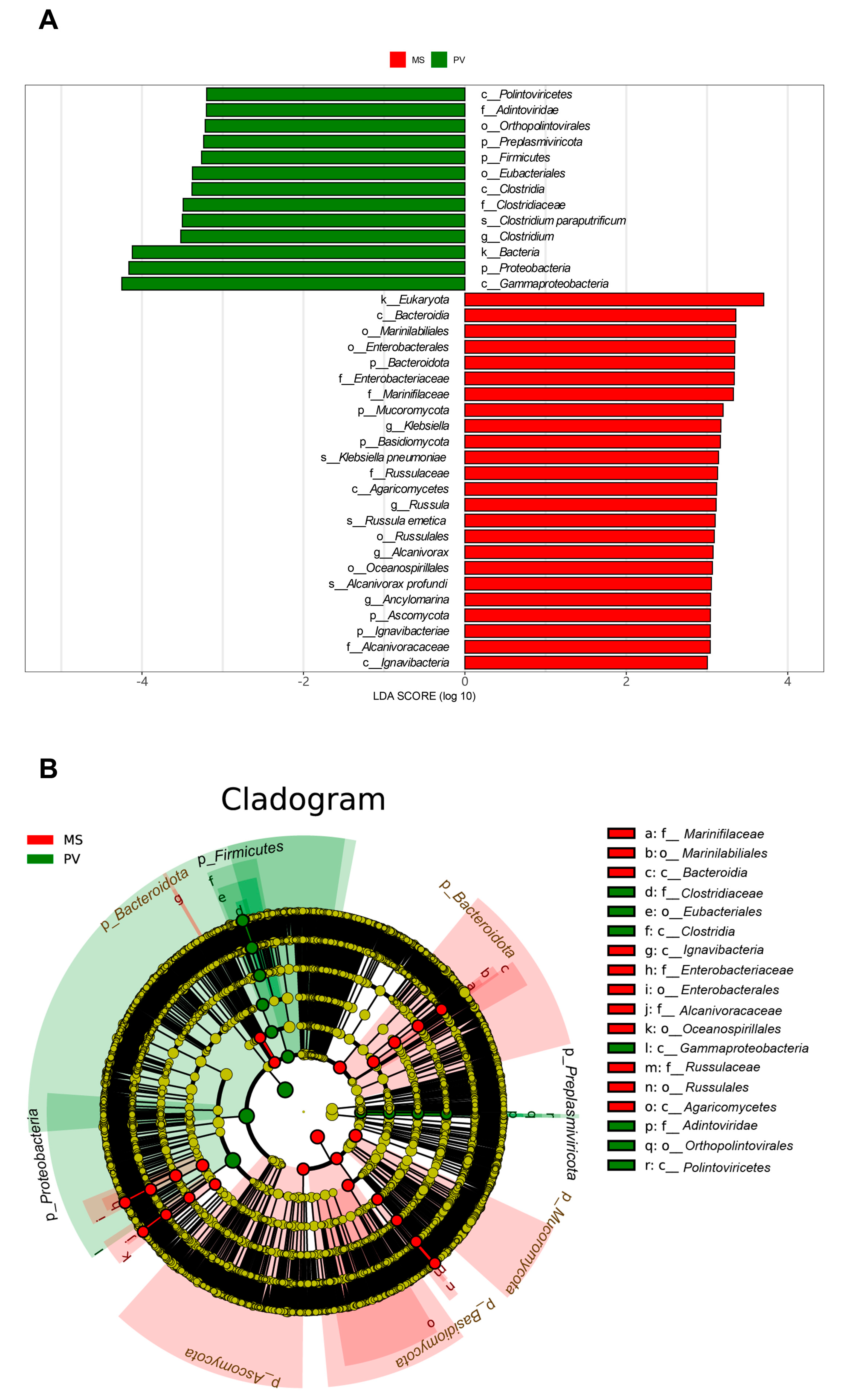 Animals 14 00918 g002