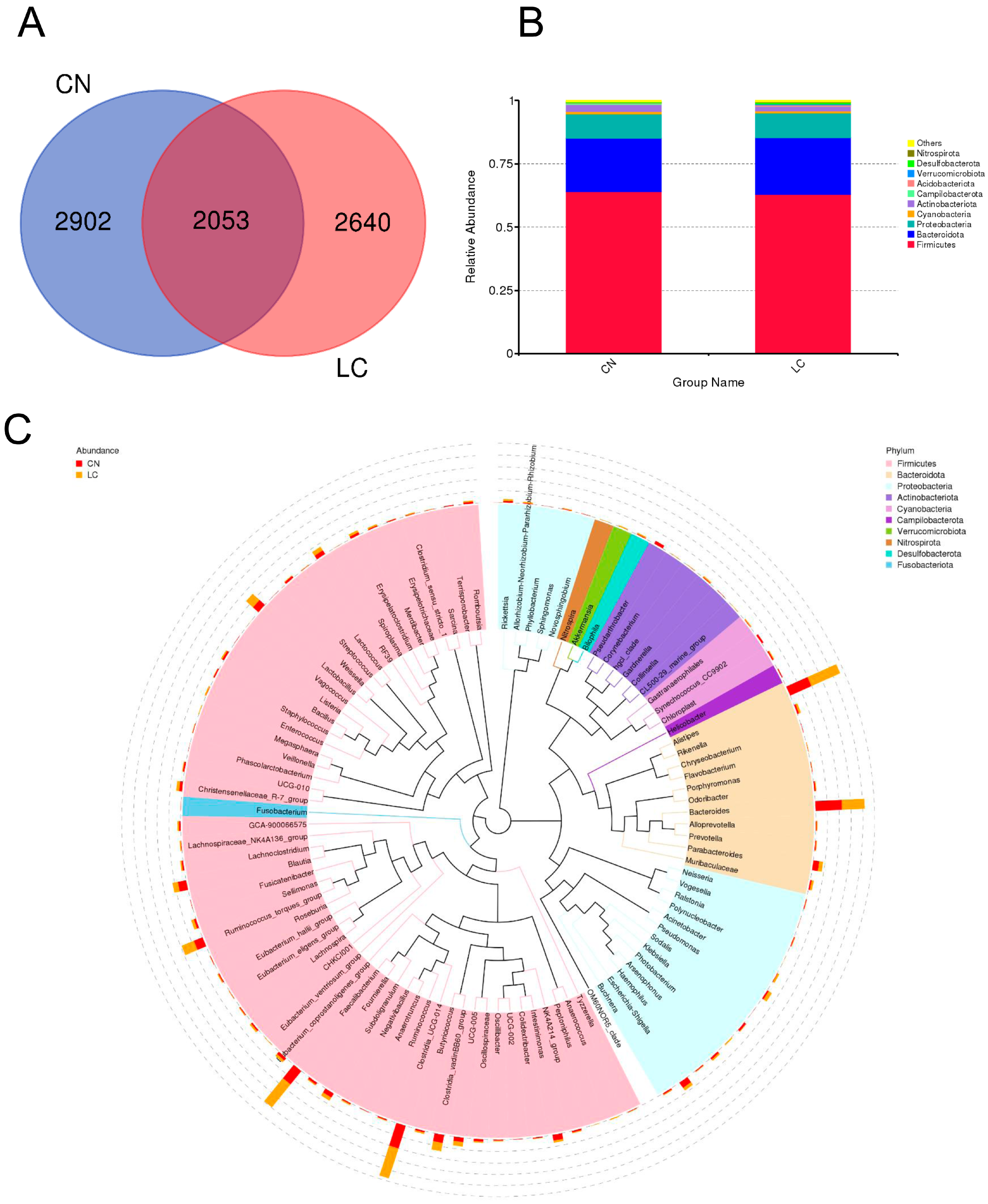 Animals 14 00920 g001