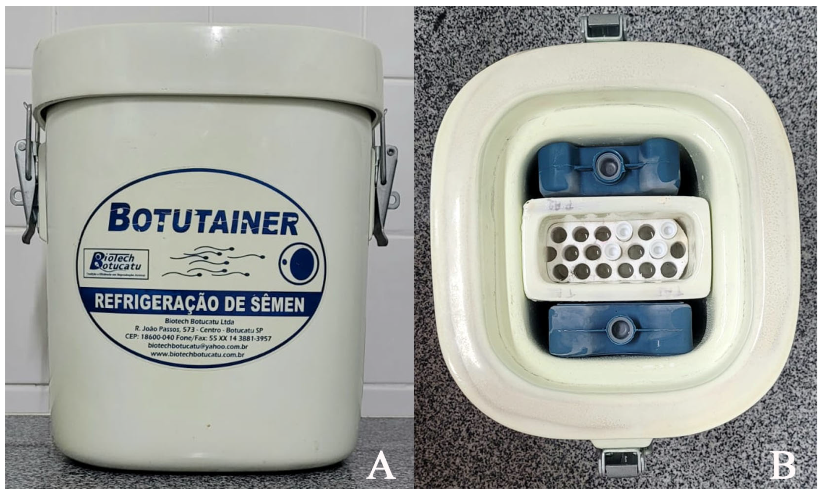 Animals 14 00934 g001