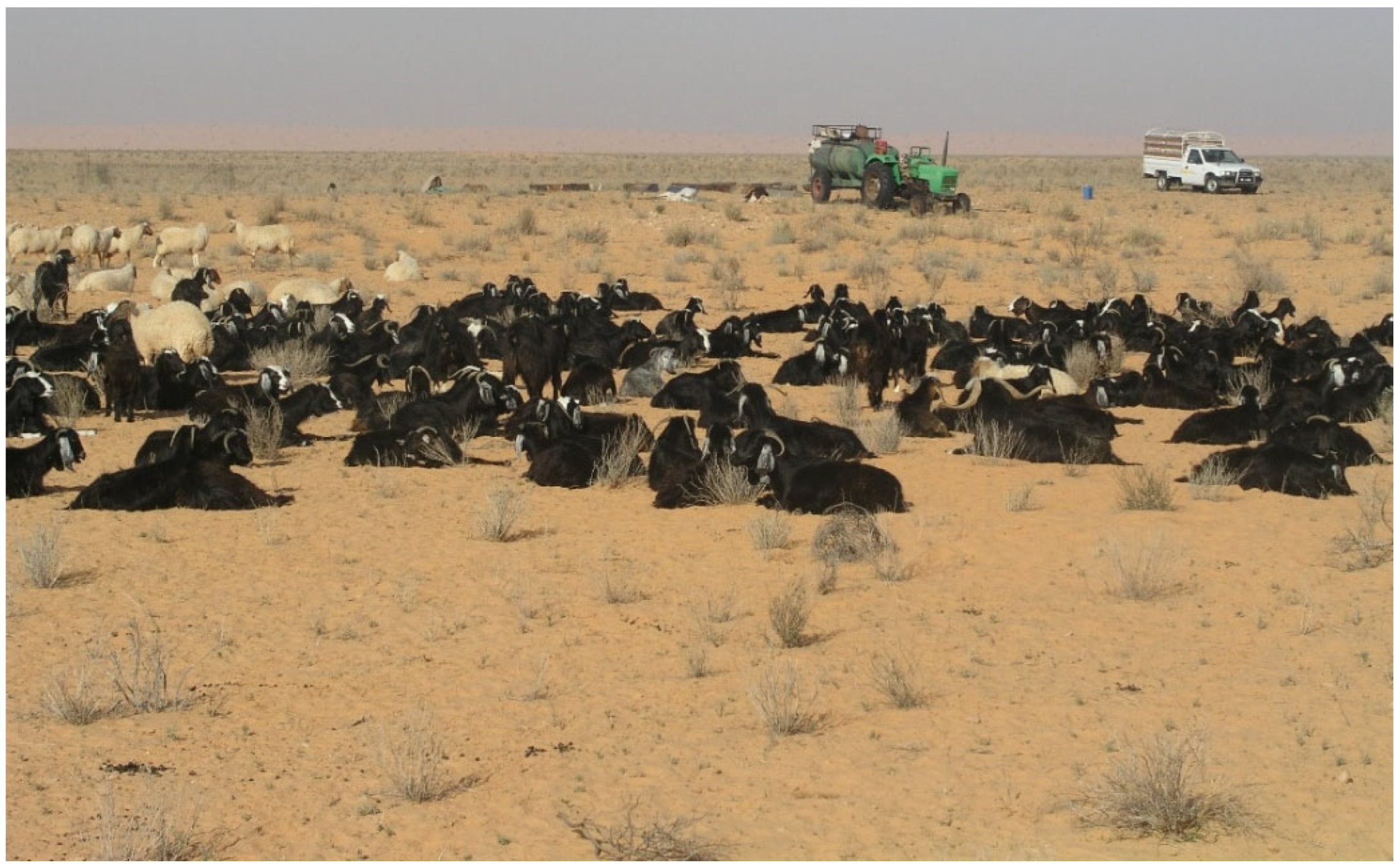 Animals 14 00942 g001 Animals 14 00942 g001