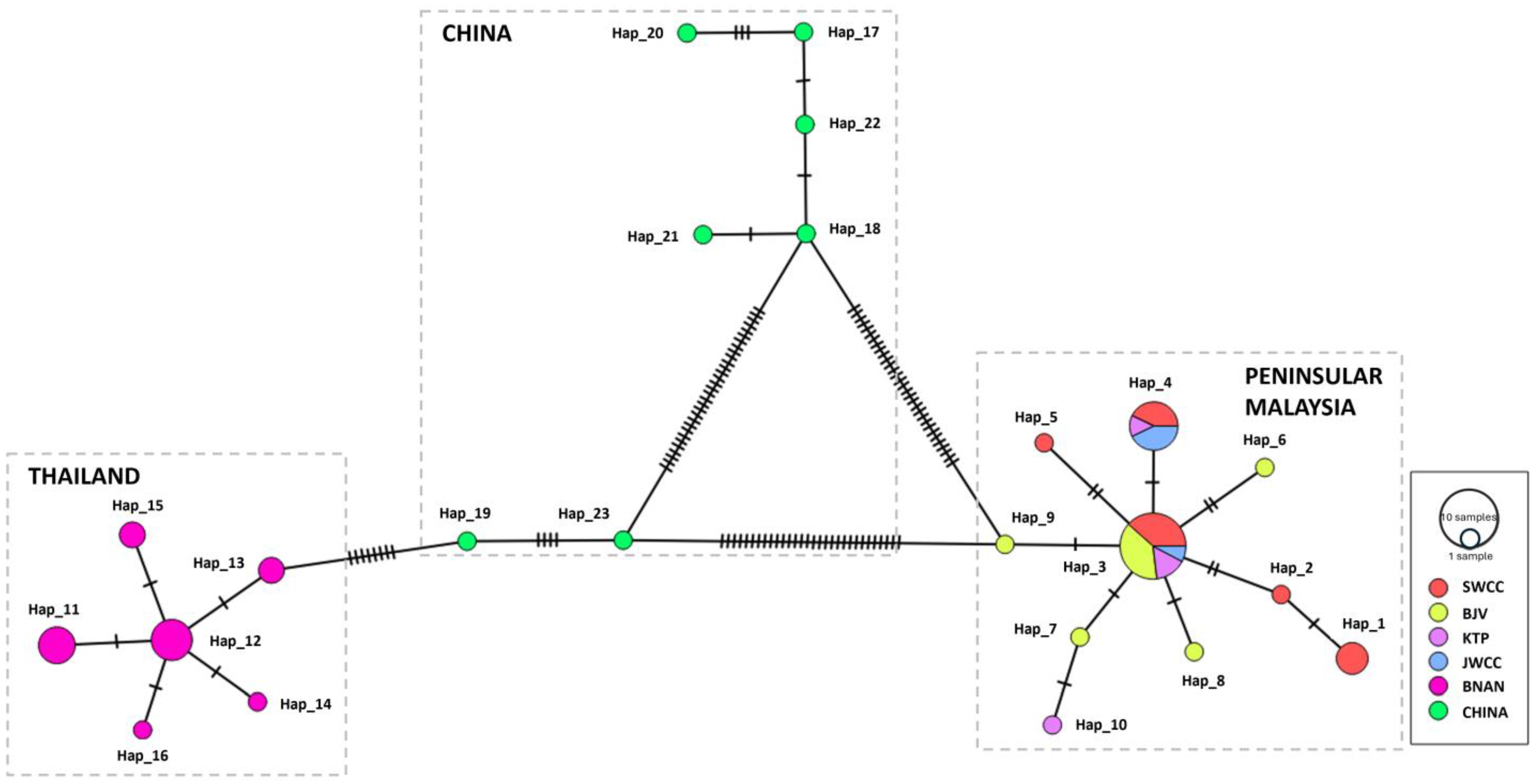 Animals 14 00980 g005