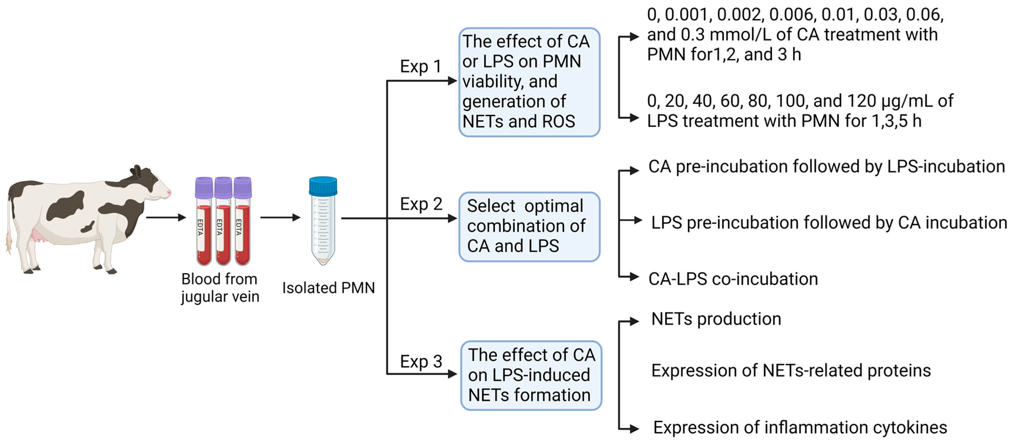 Animals 14 00985 g001