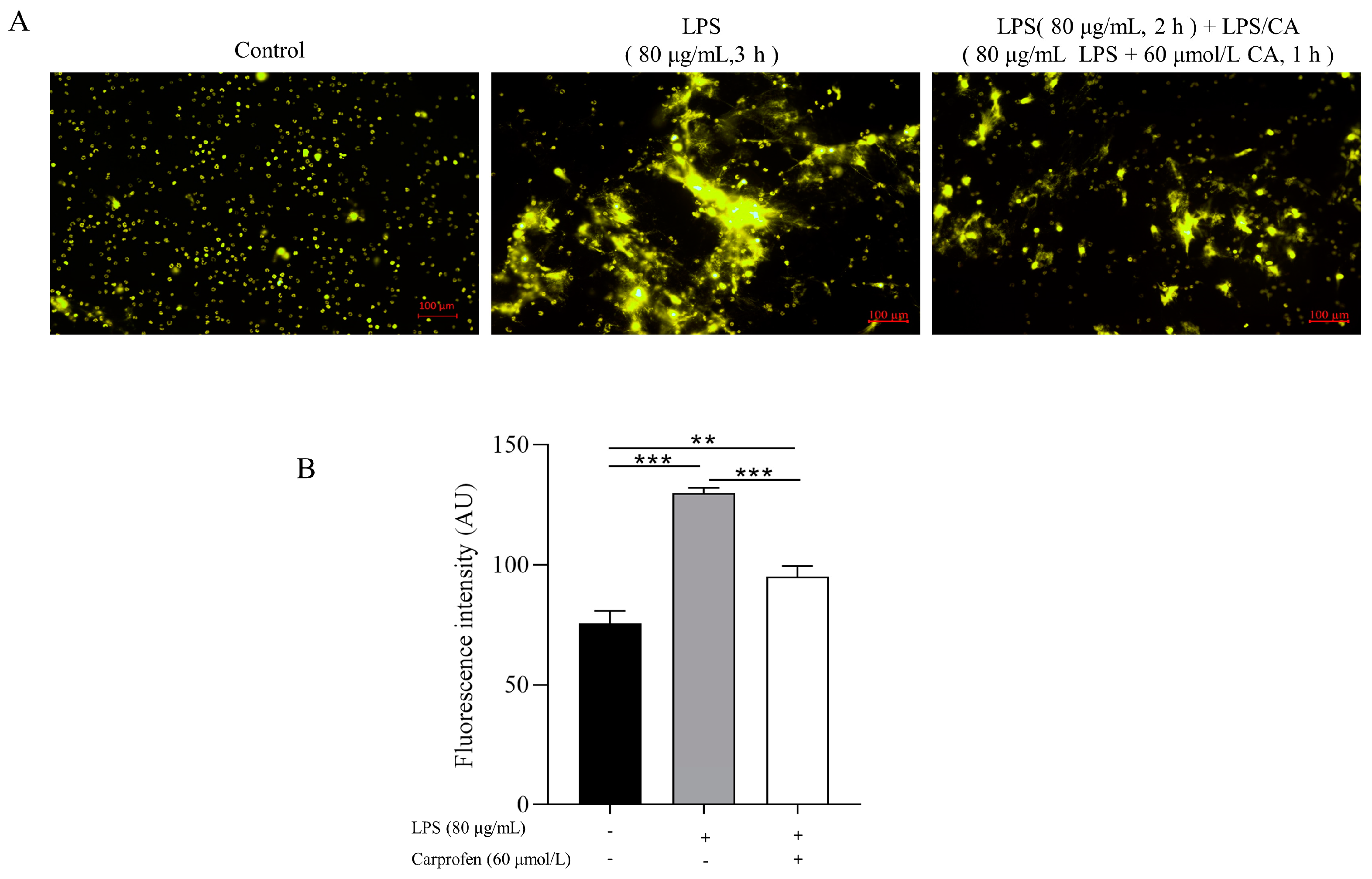 Animals 14 00985 g004