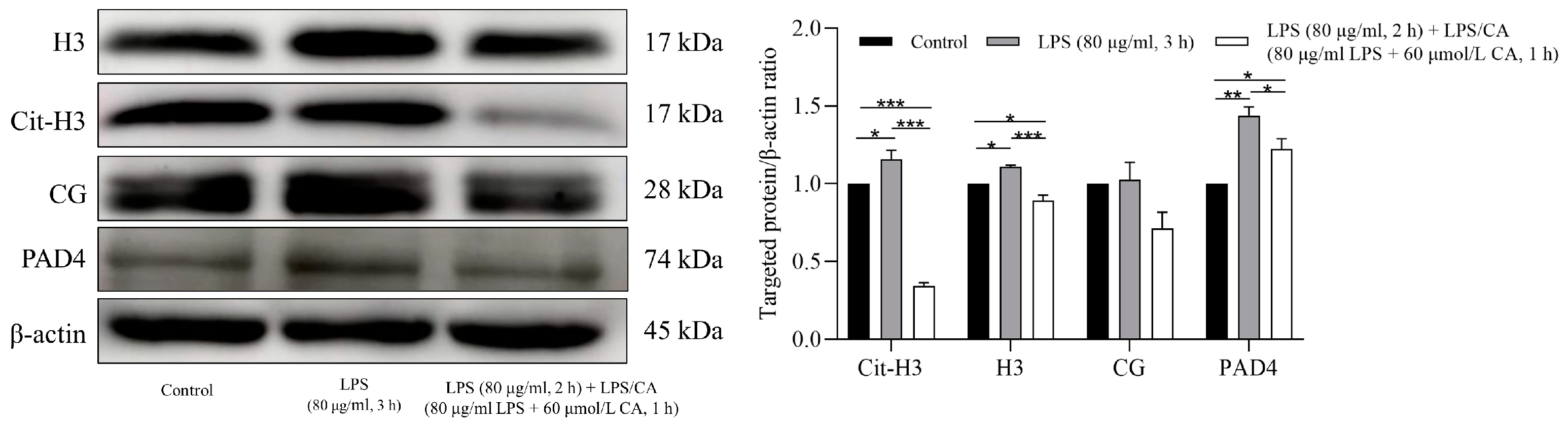 Animals 14 00985 g005