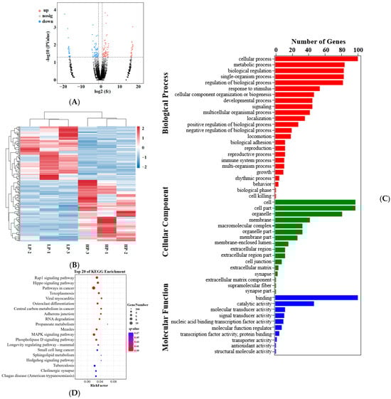 Animals 14 00988 g002