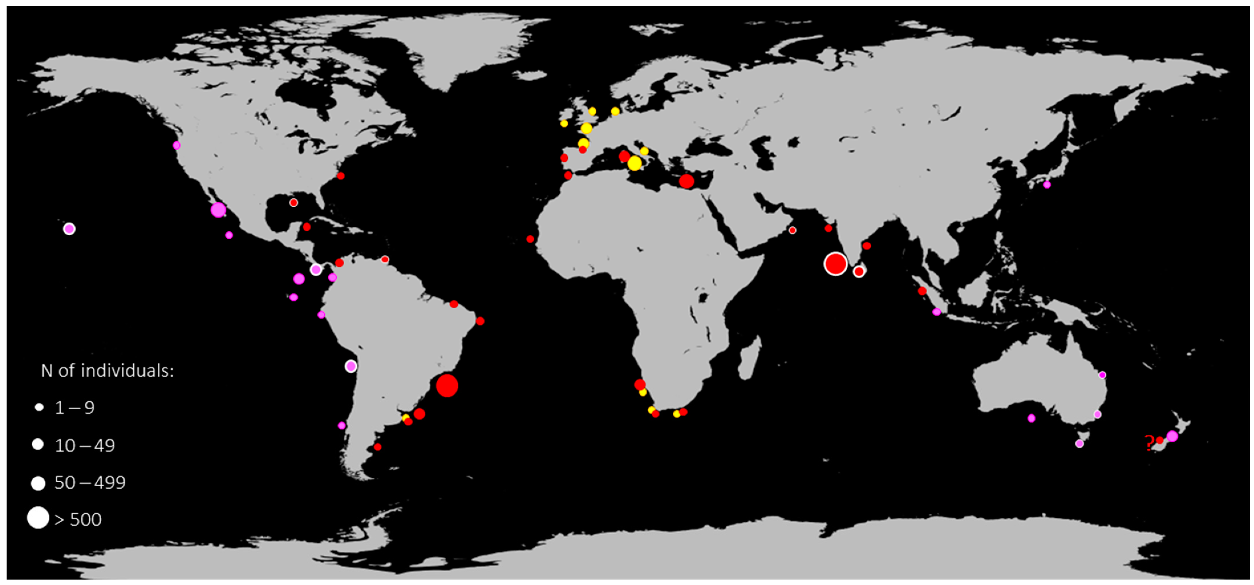 Animals 14 00993 g001