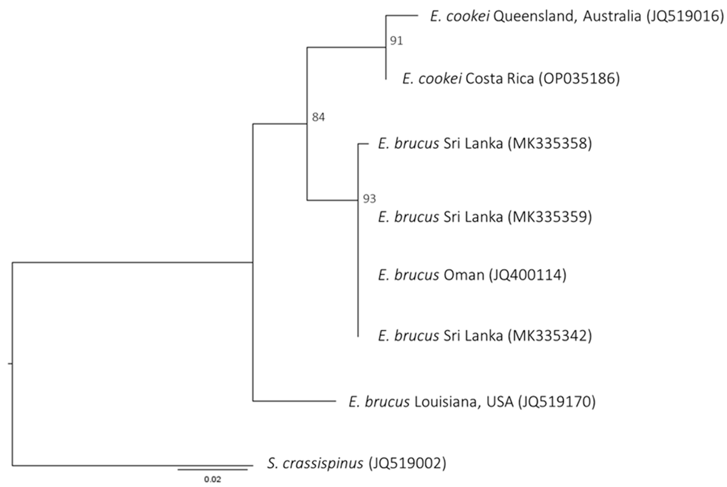 Animals 14 00993 g002