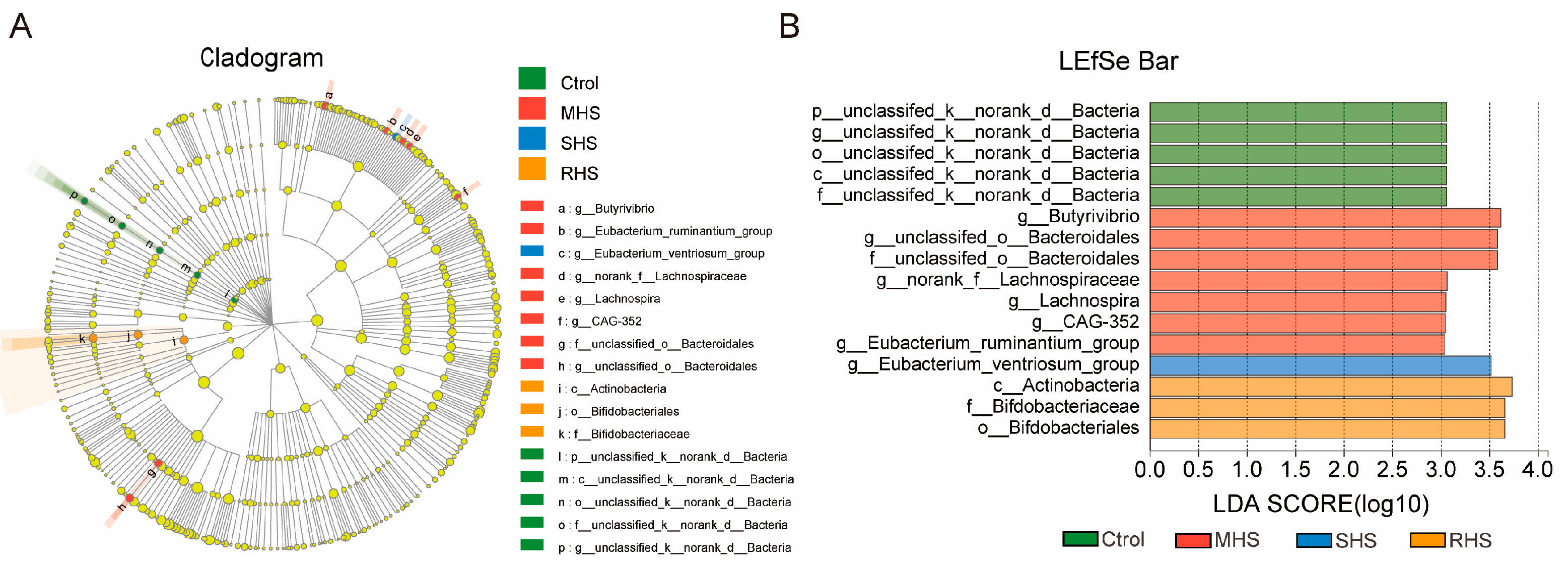 Animals 14 00998 g004