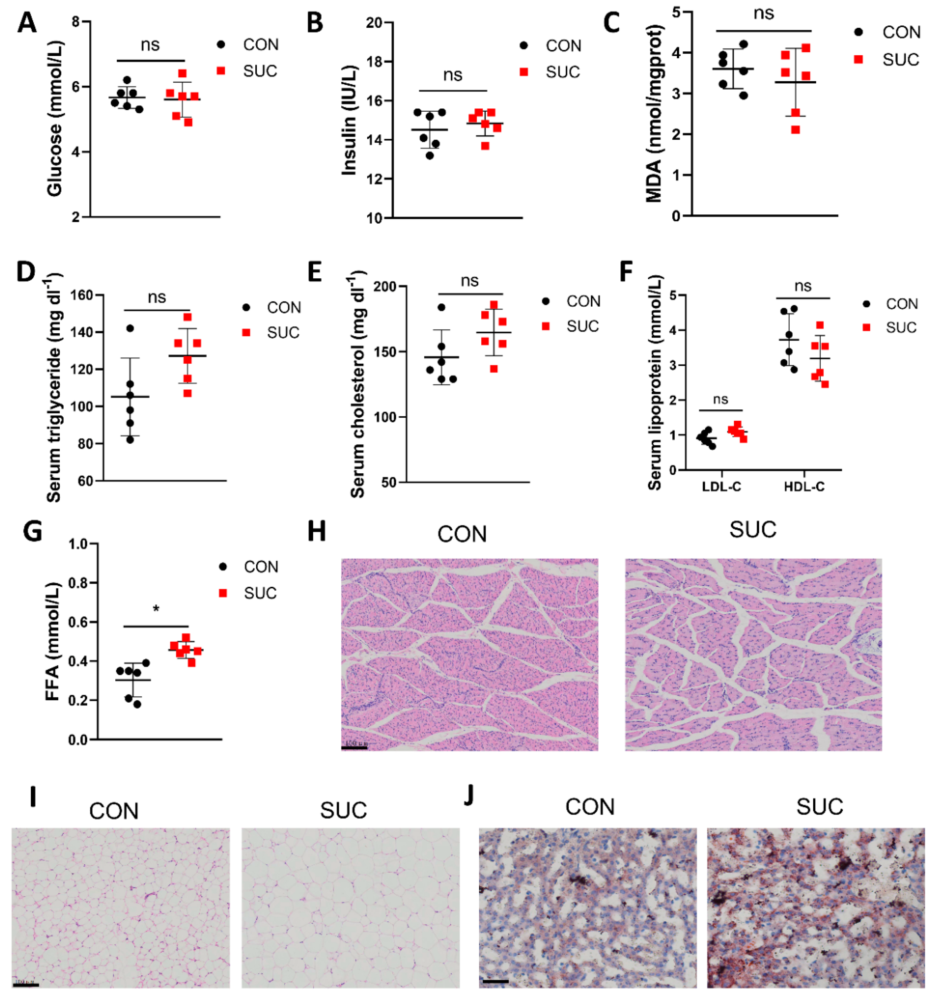 Animals 14 00999 g001