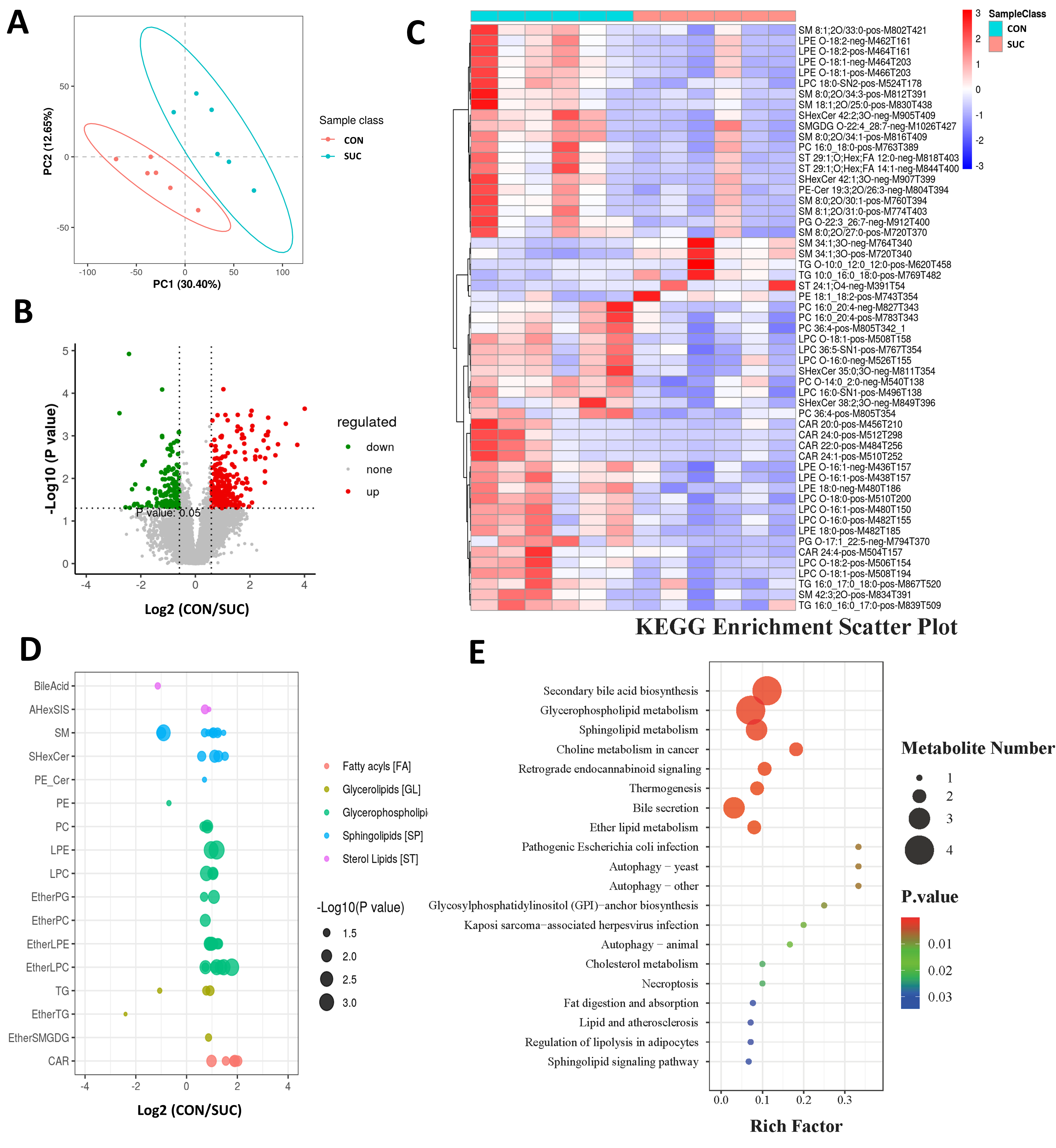 Animals 14 00999 g002