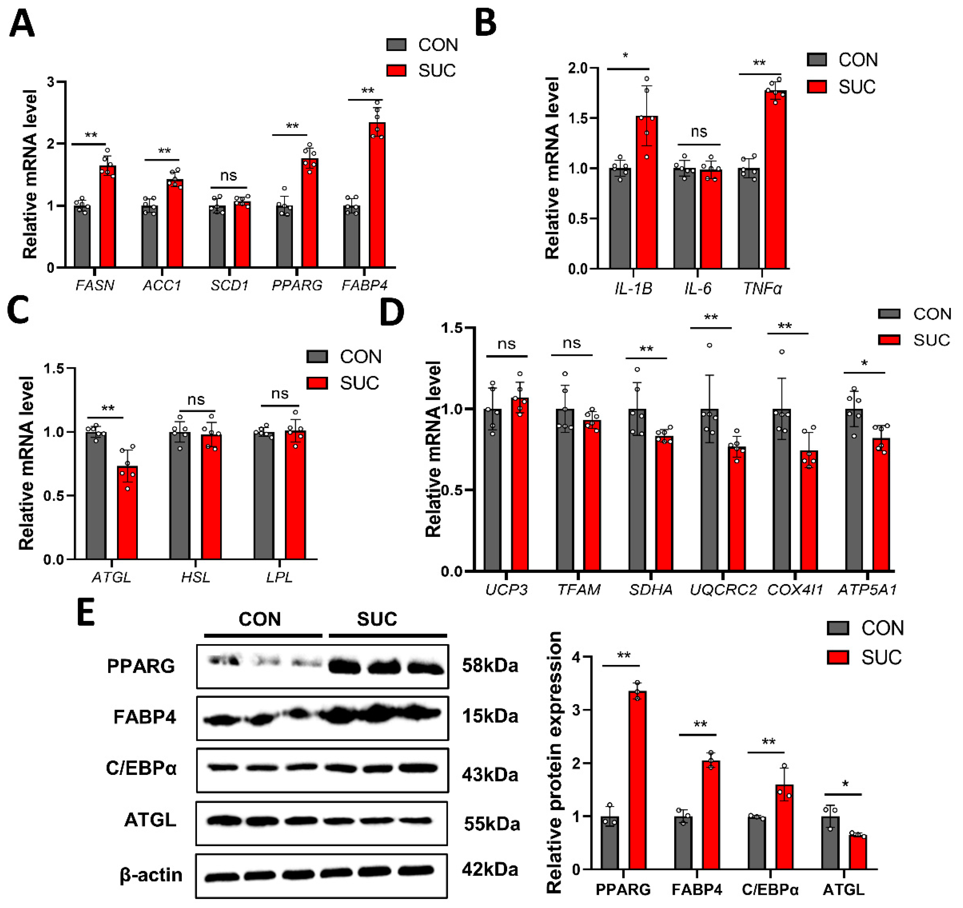 Animals 14 00999 g003